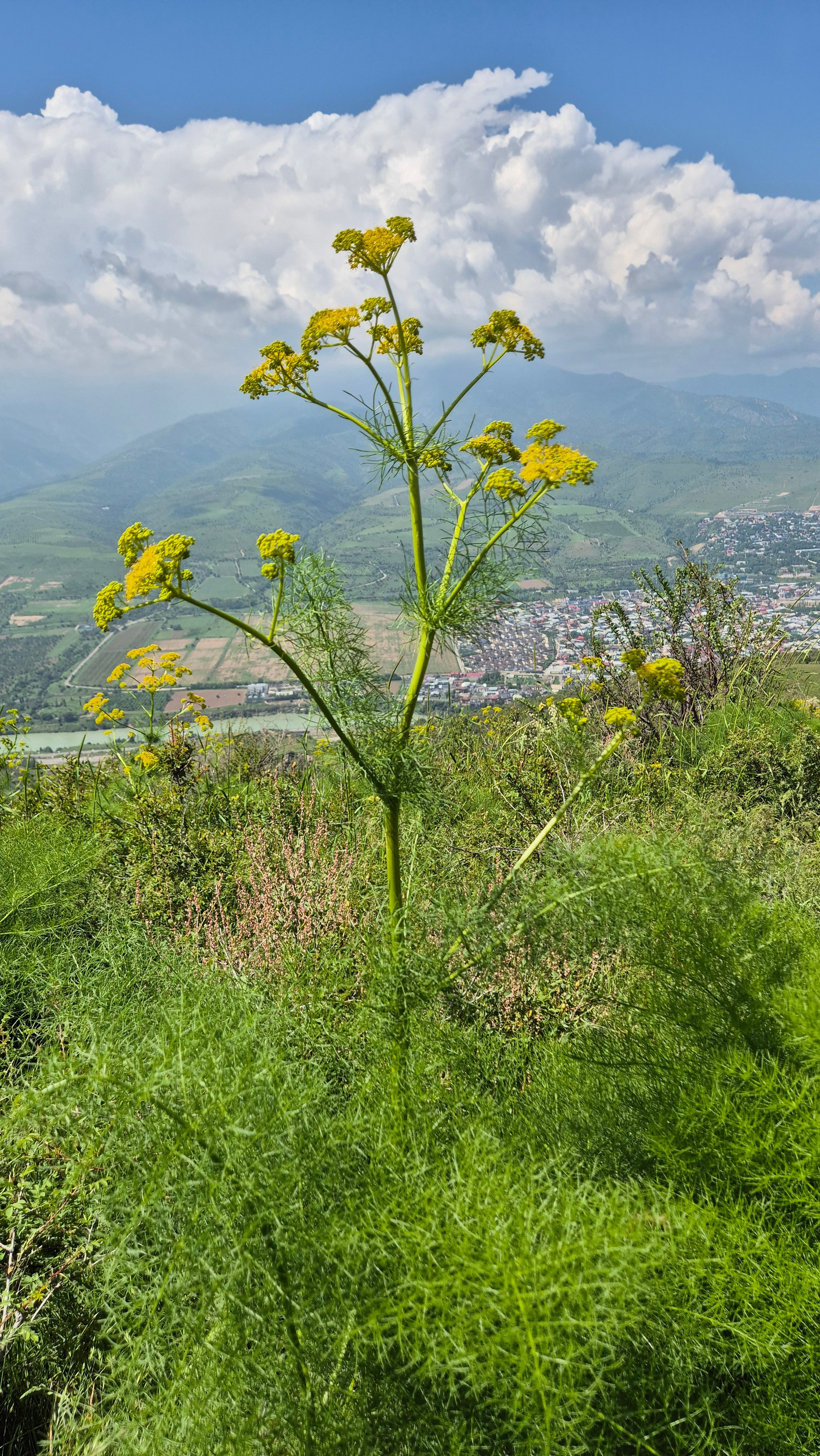 Uzbekistan 2024. Photographer Marina, city of Nuremberg