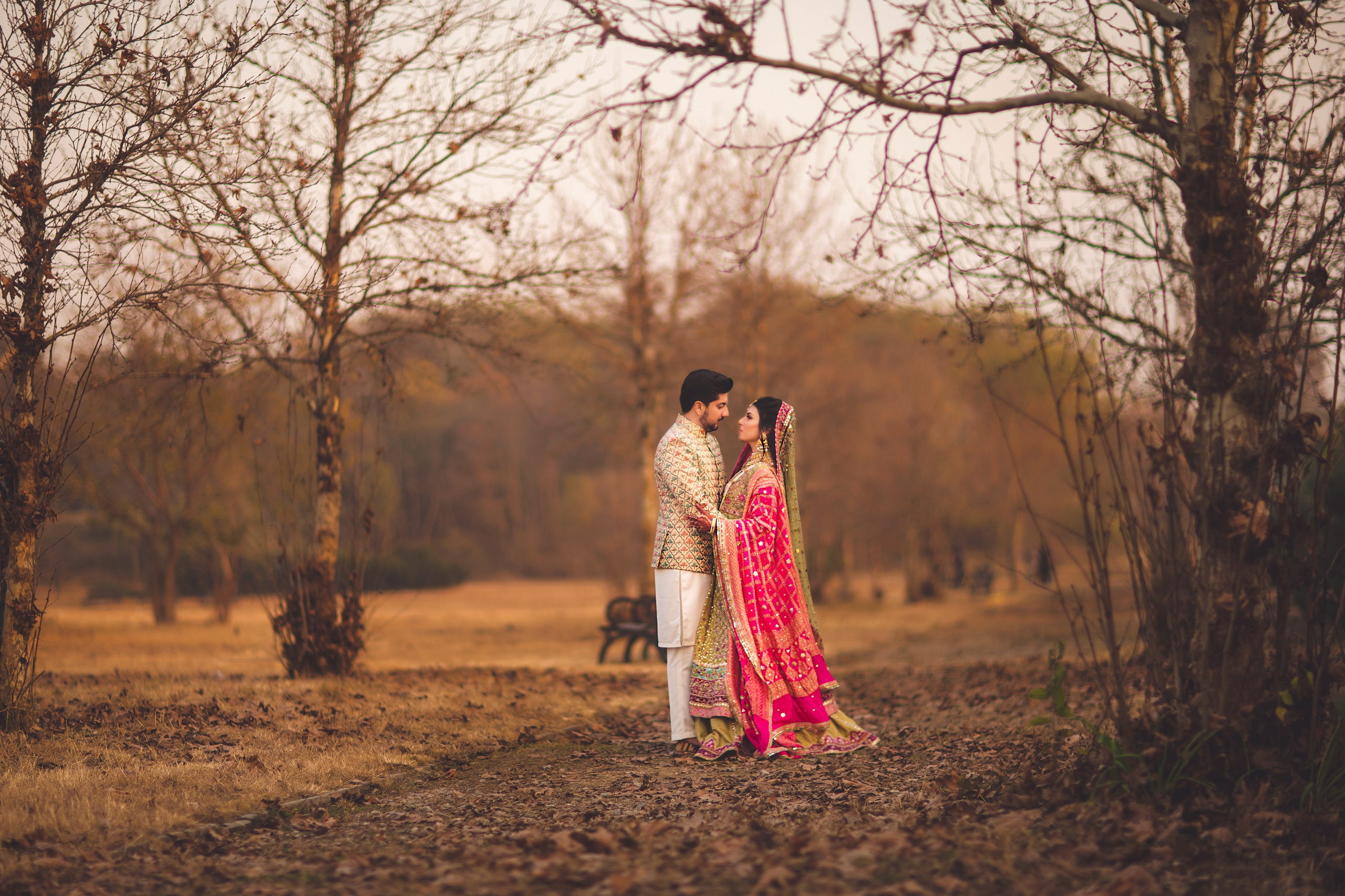 Portfolio. Chaar Bhai — Your Personal Family Historians