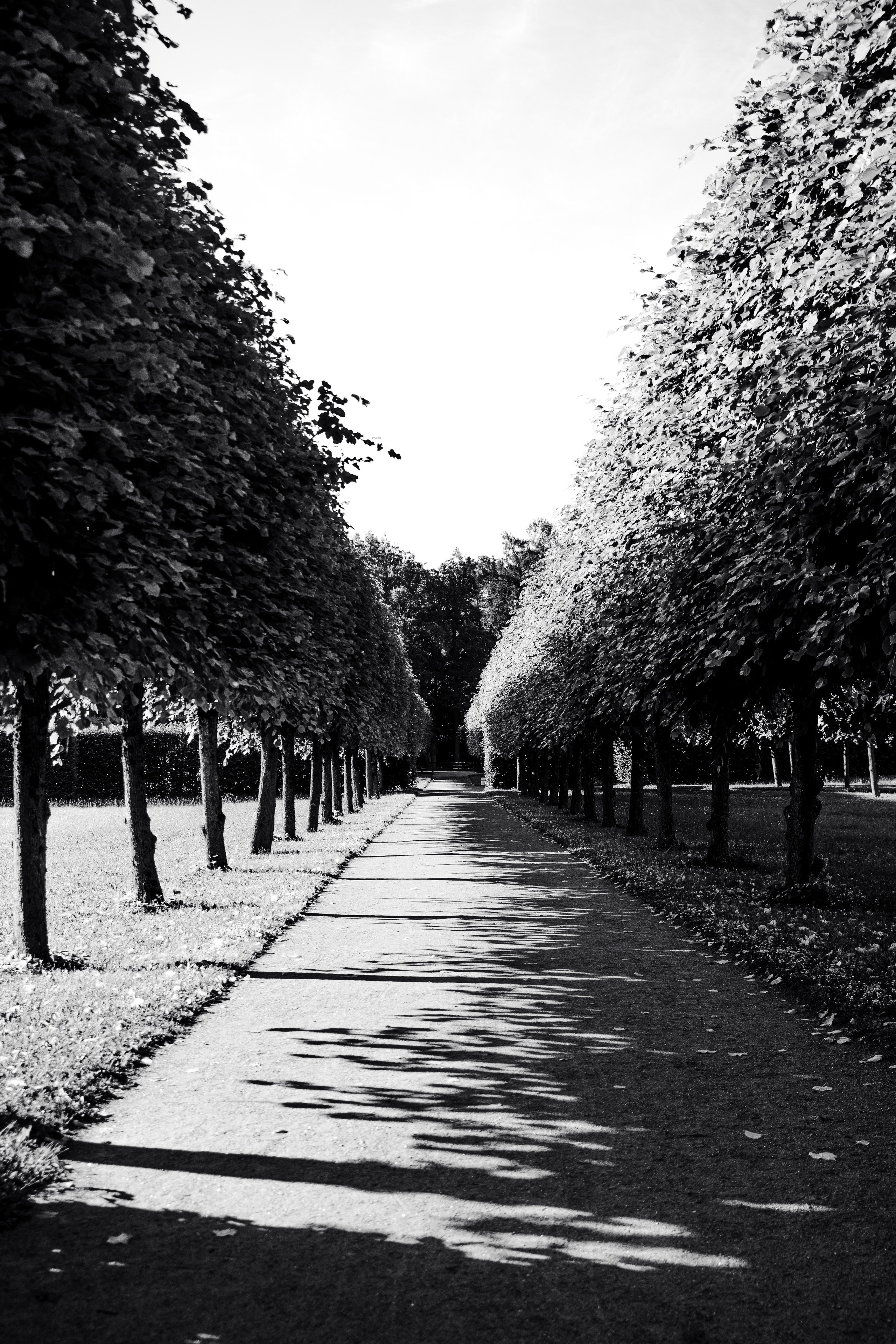 St Petersburg. Photographer Mariia Bortiakova