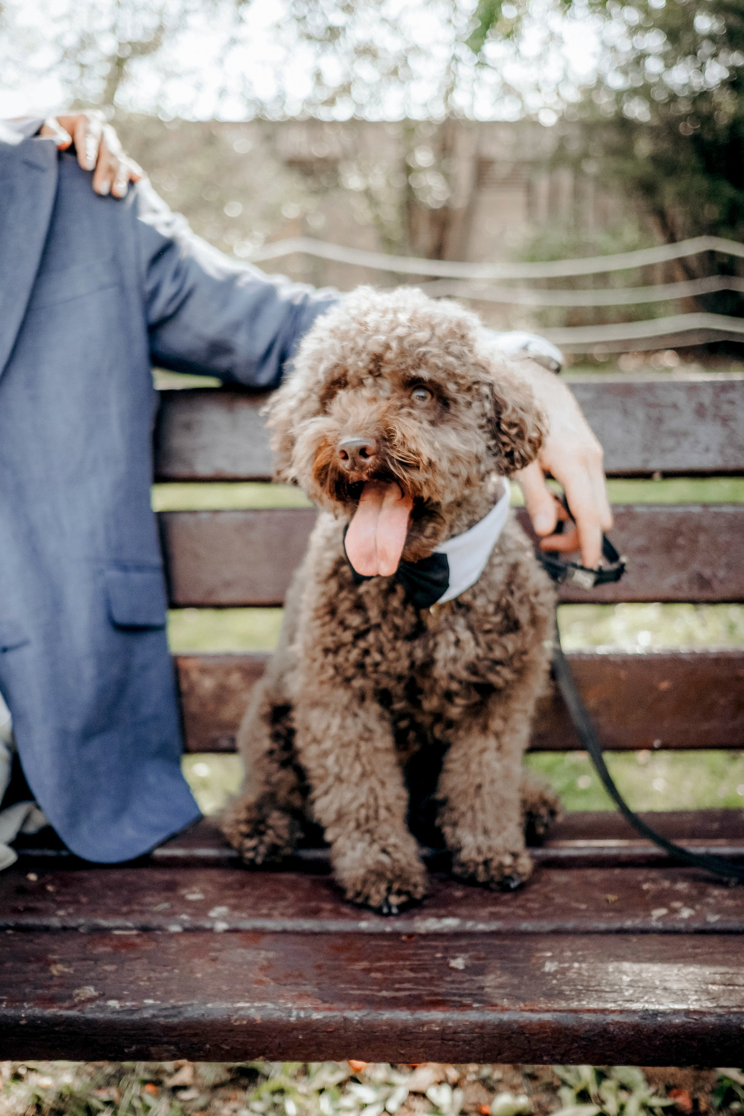 Rayana & Marti. Wedding Photographer in Barcelona Lana Alekhina