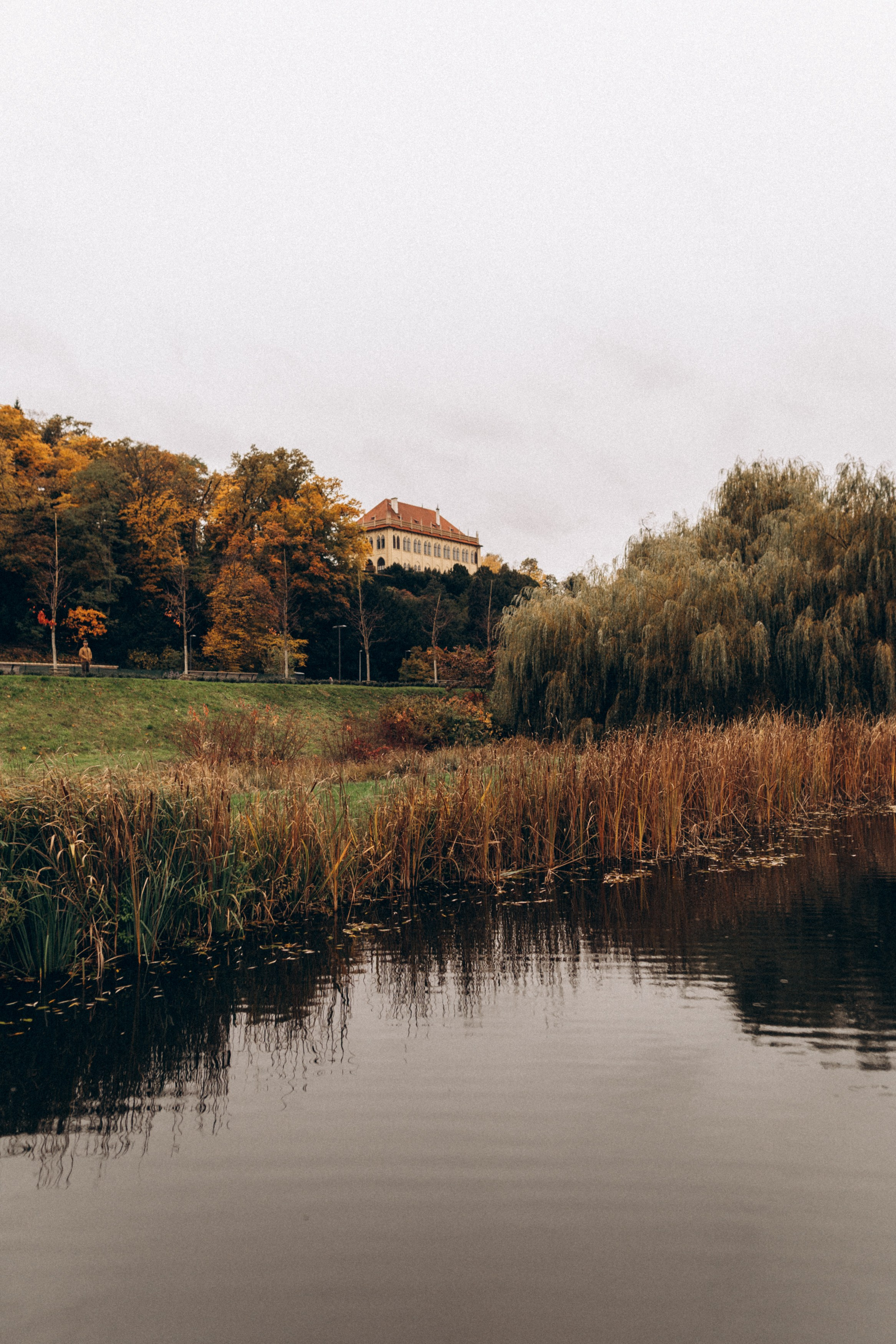 Masha & Kolya. Фотограф в Праге Анна Лебедева