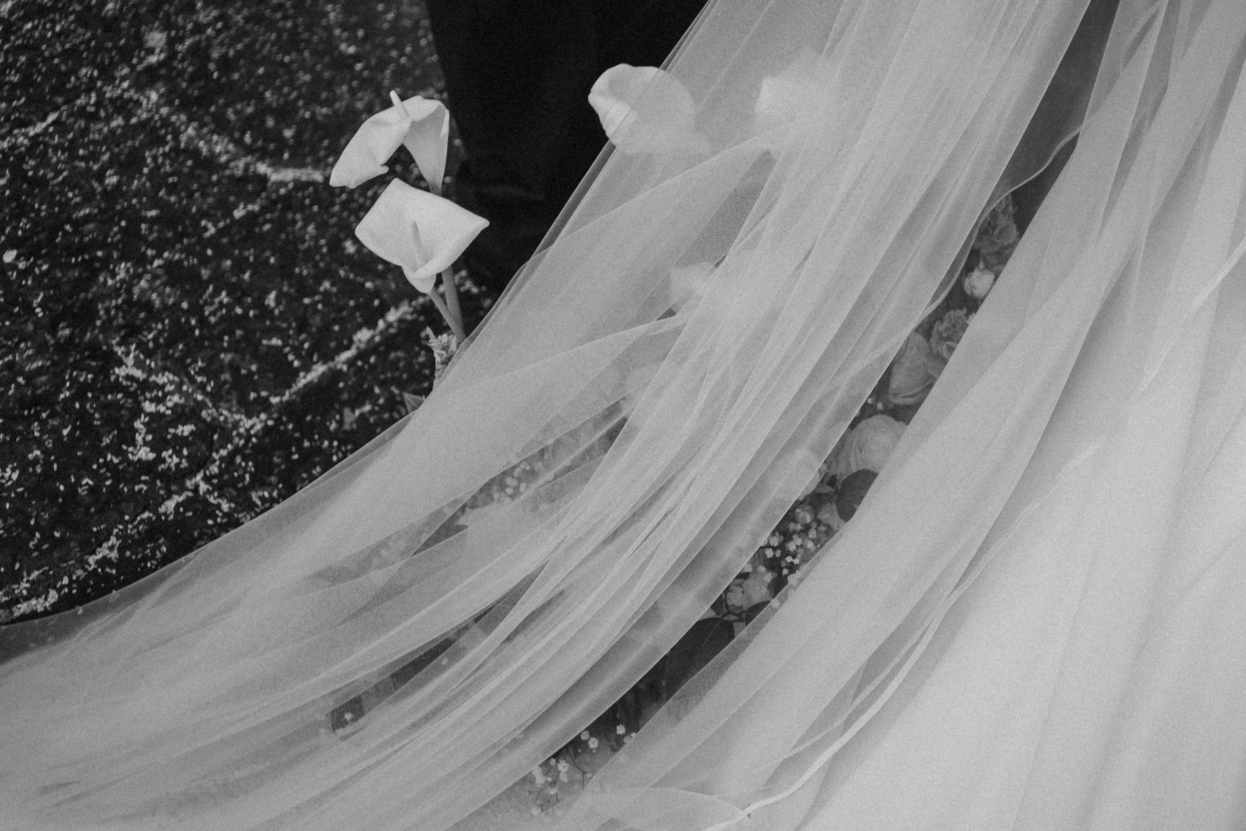 Davide & Francesca. Pagina principale