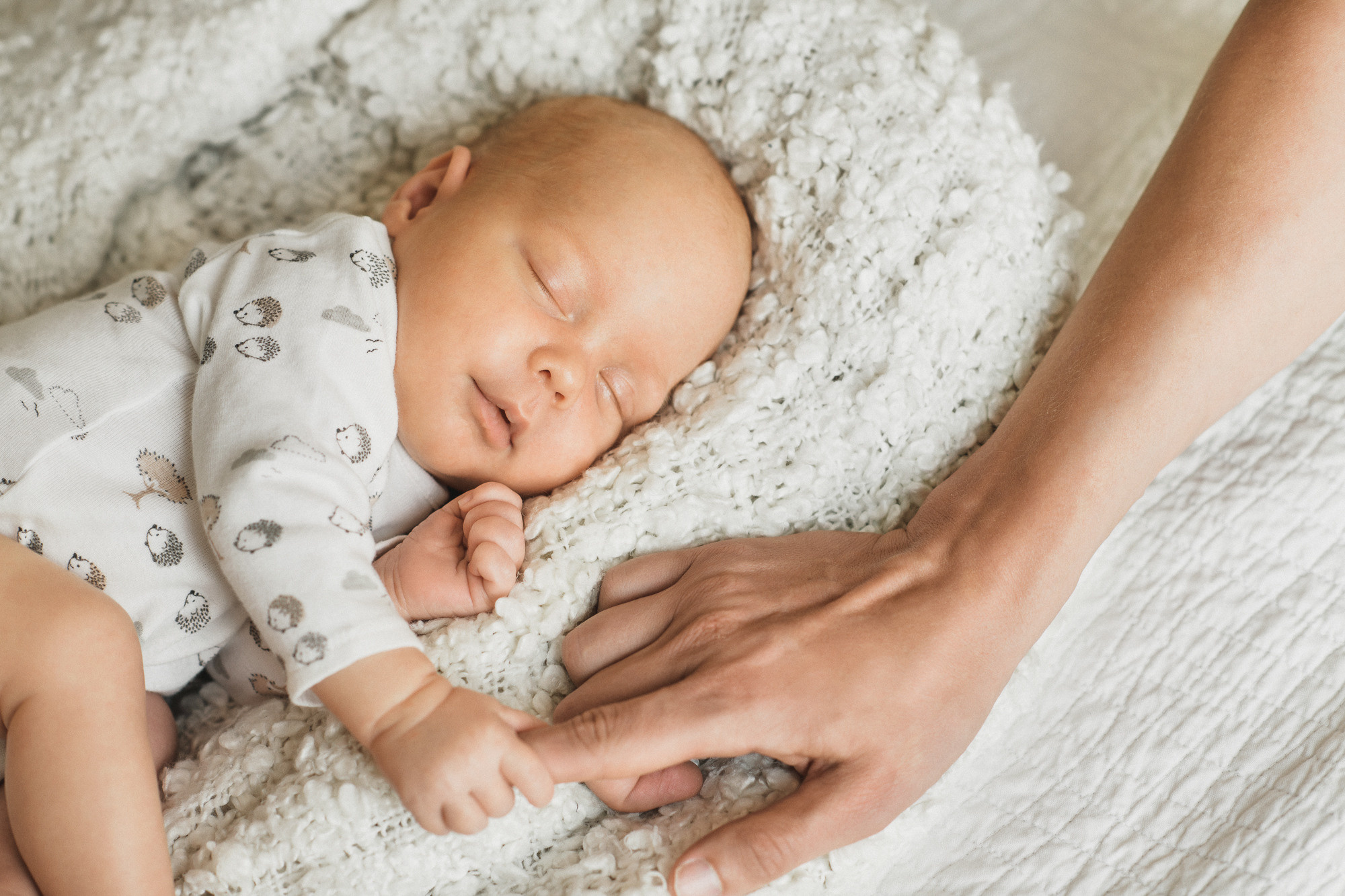 Домашняя фотосессия новорожденного малыша в Праге. Семейный и свадебный фотограф в Праге Наталья Федори