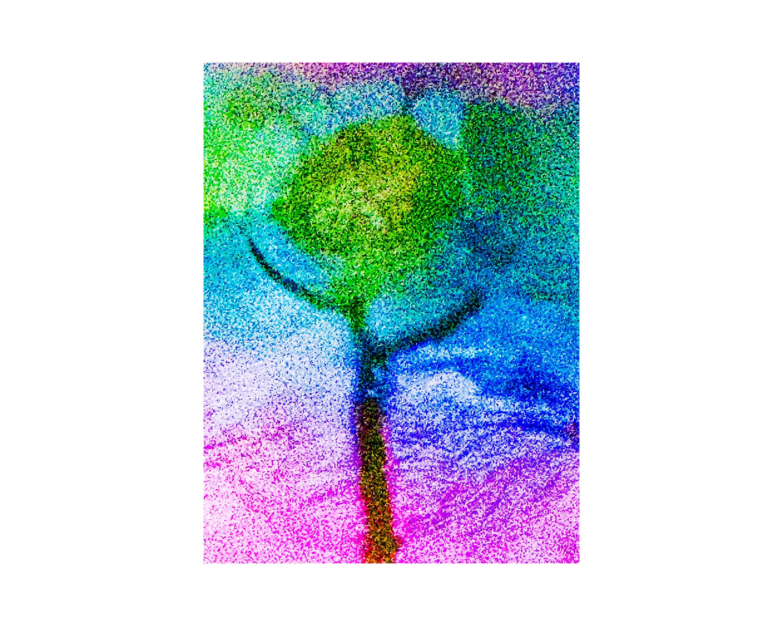 Nature from Exaggerated Worlds. Ekaterina Tsurkina-Appina Photography Canada