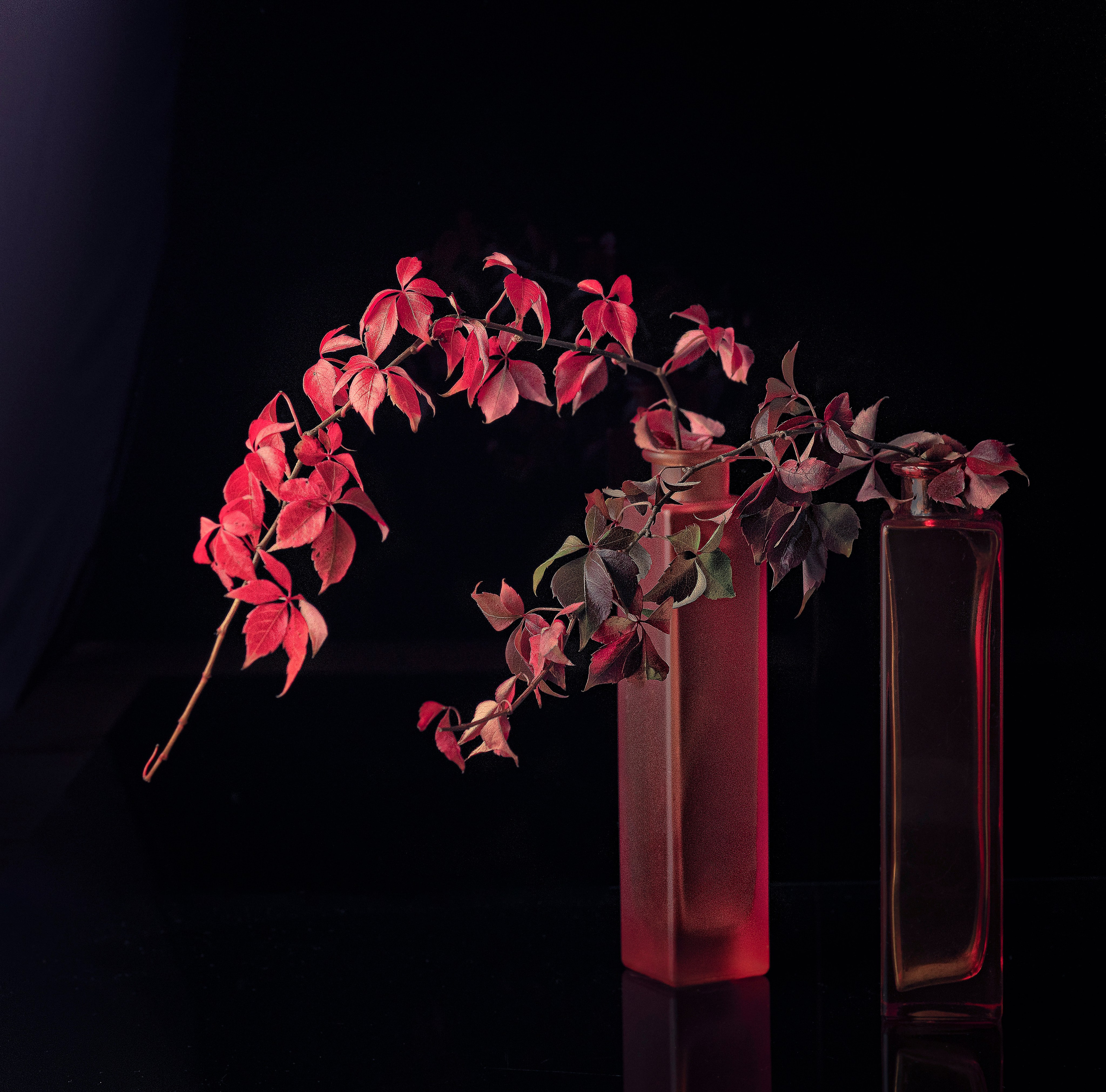 Blumen. LUKIN IGOR Photography