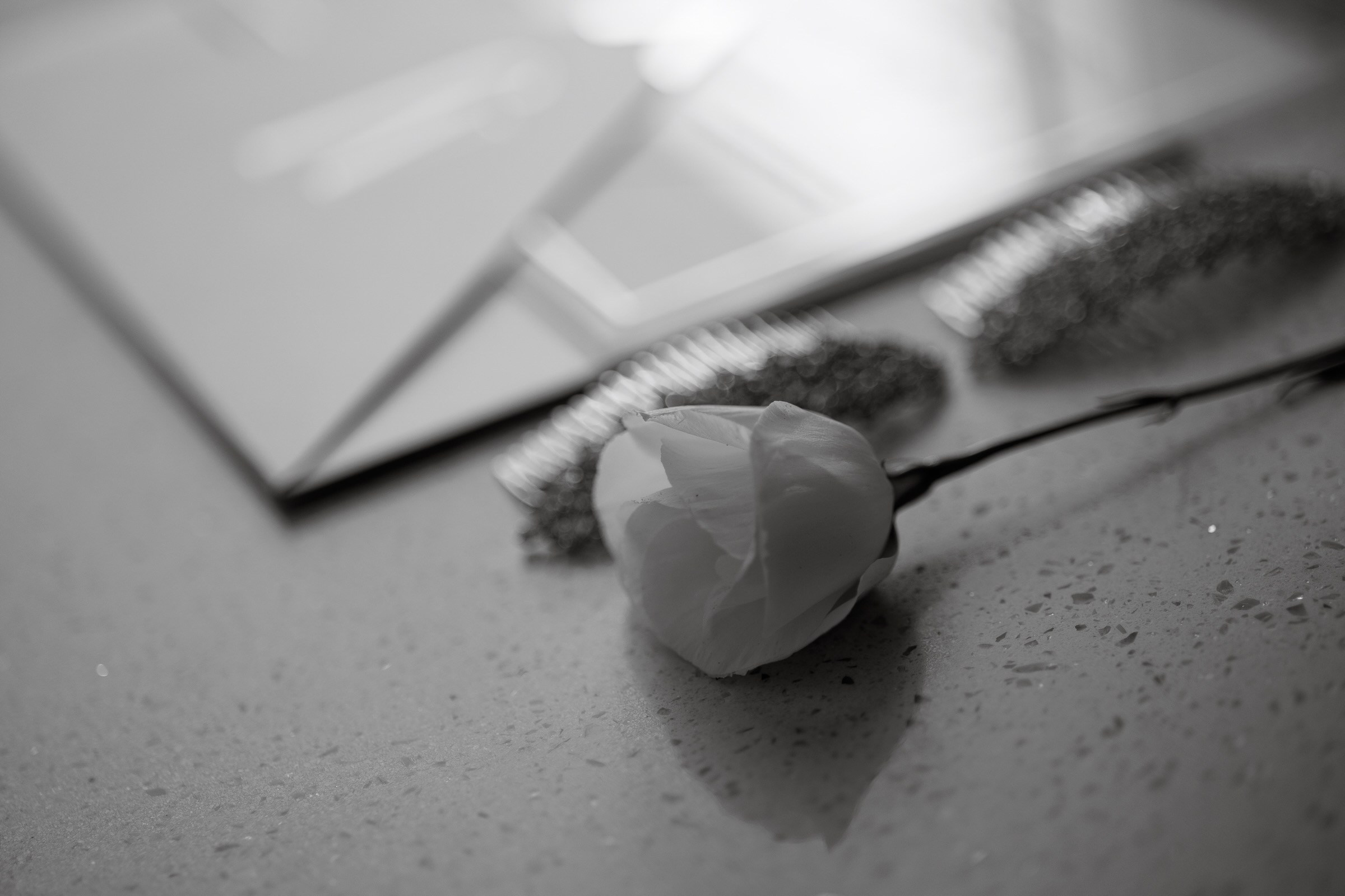 Casamentos. Fotógrafo de casamentos no Brasil | Base no Paraná, disponível em todo o Brasil e no exterior