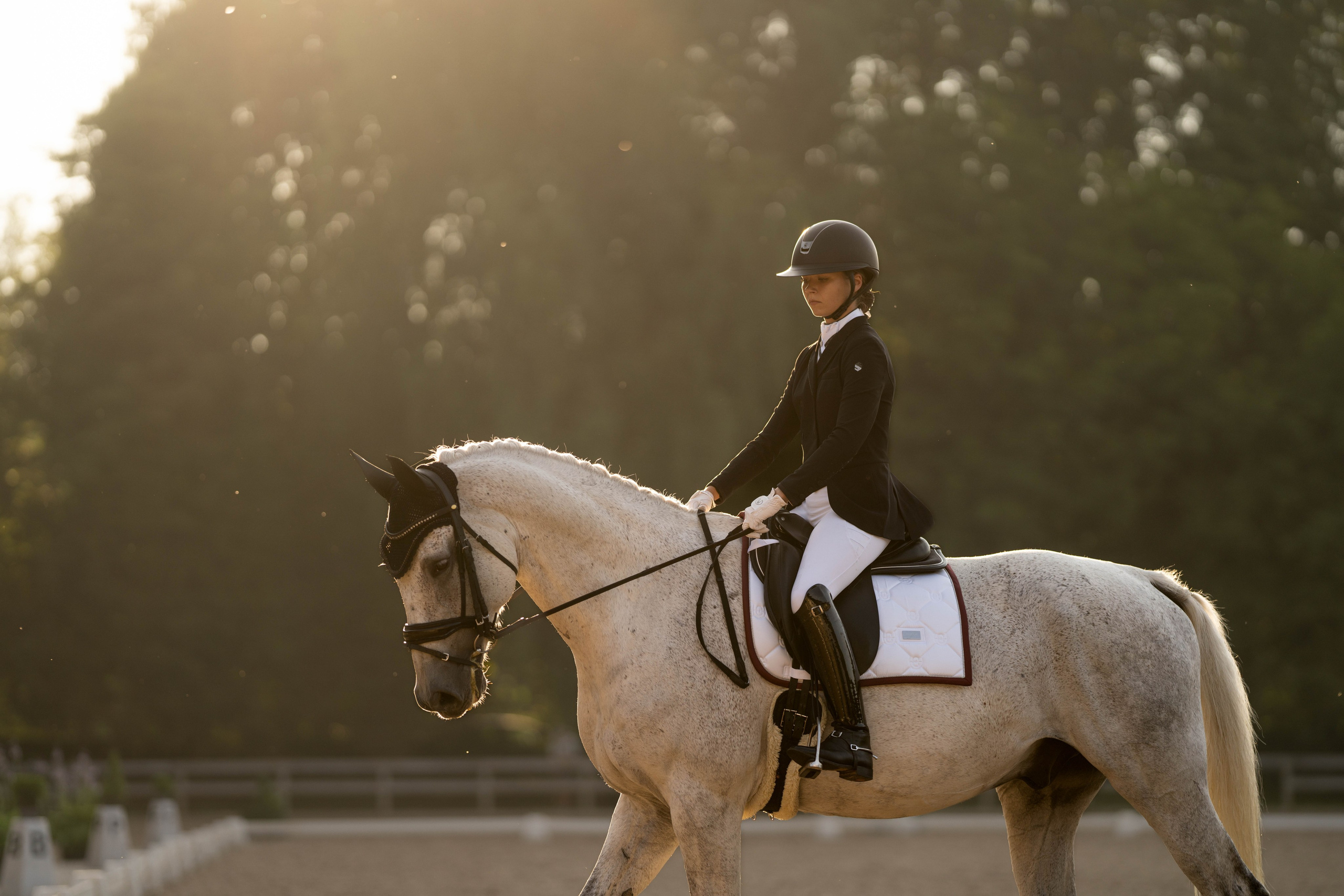 Dressage competitions. Sports and portrait photographer in Riga