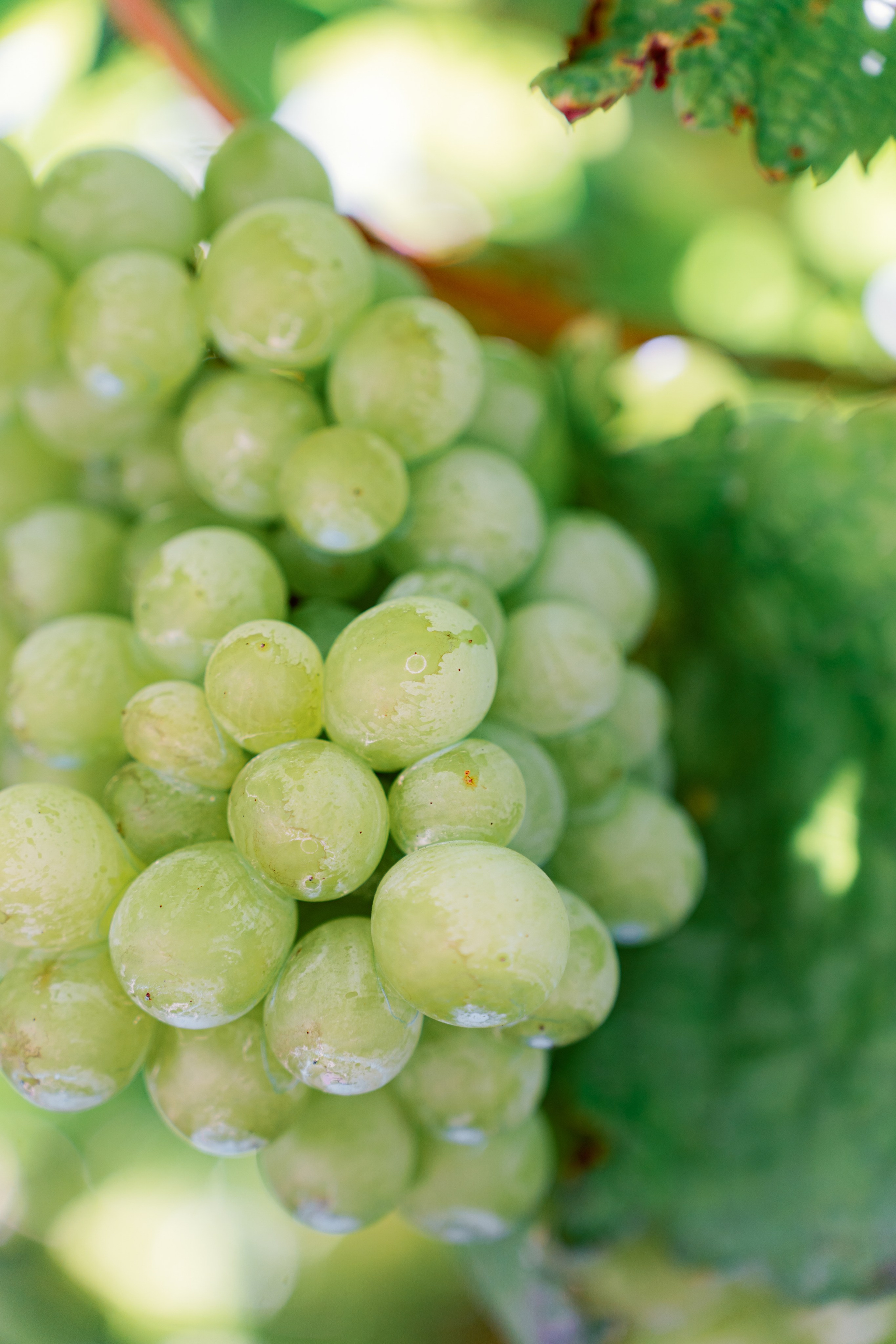 Долина Дору: полное погружение