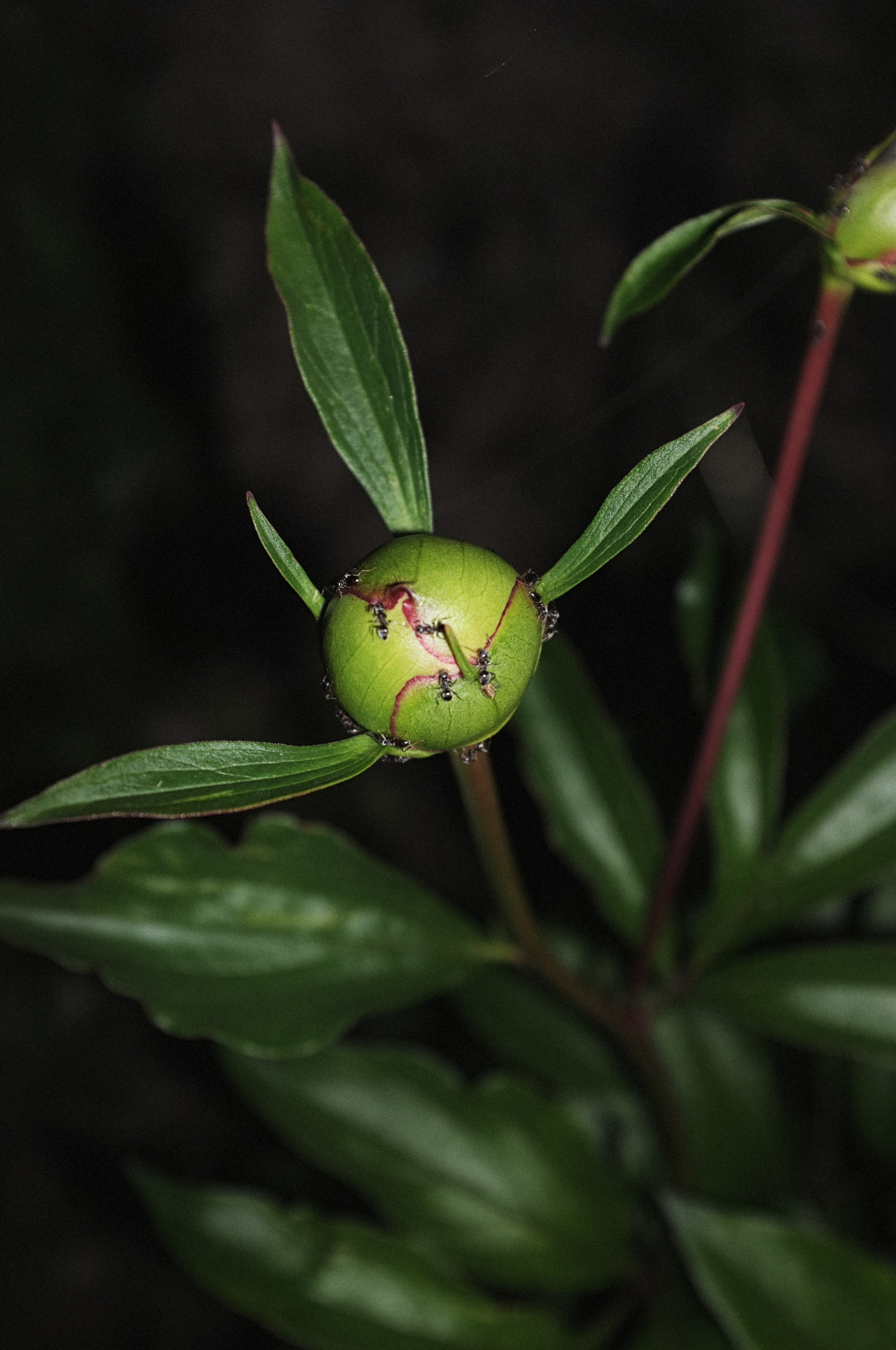 To me, to you 2015. Photographe de produits et natures mortes à Paris