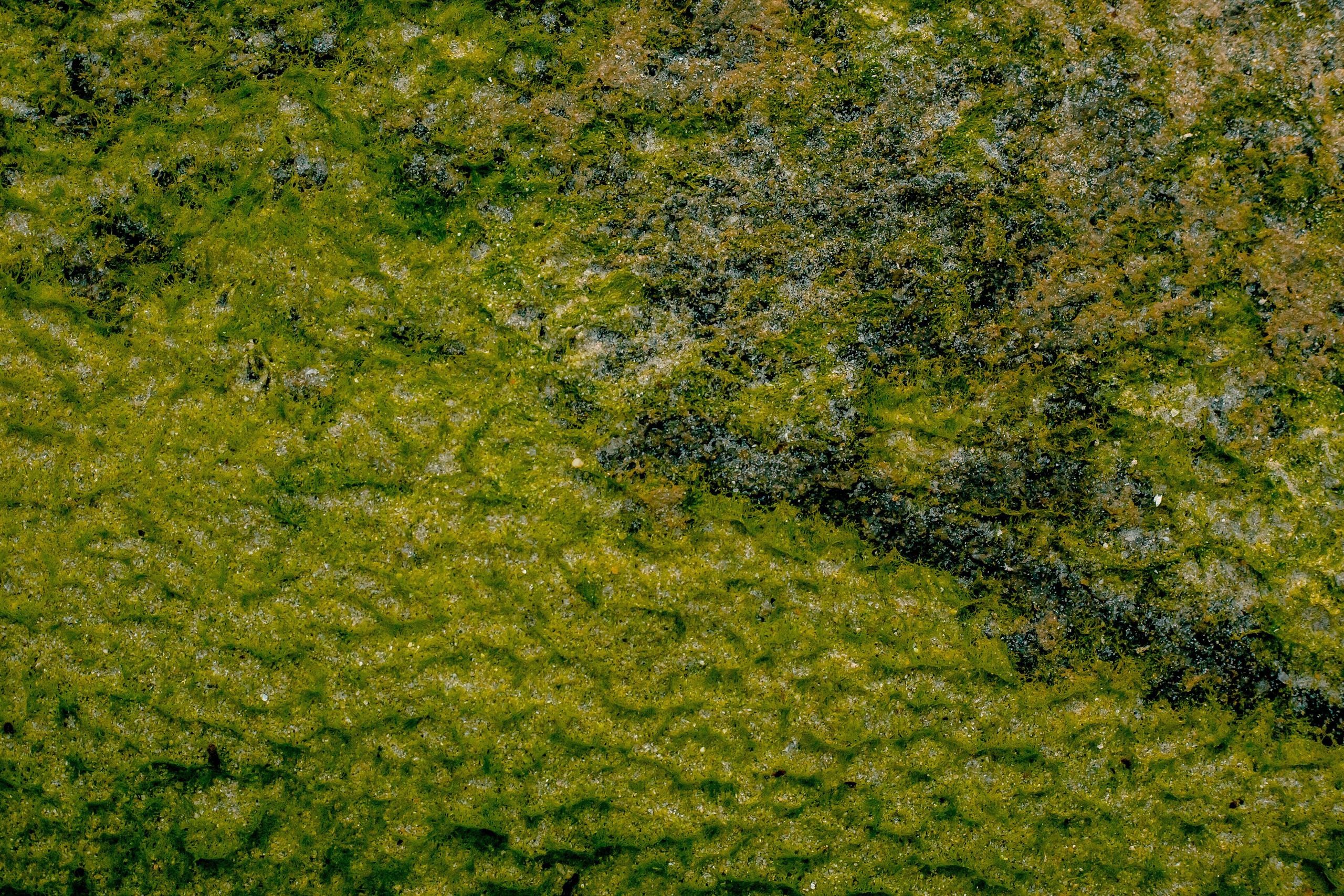 Thailand 2023, Samui. Art Photographer