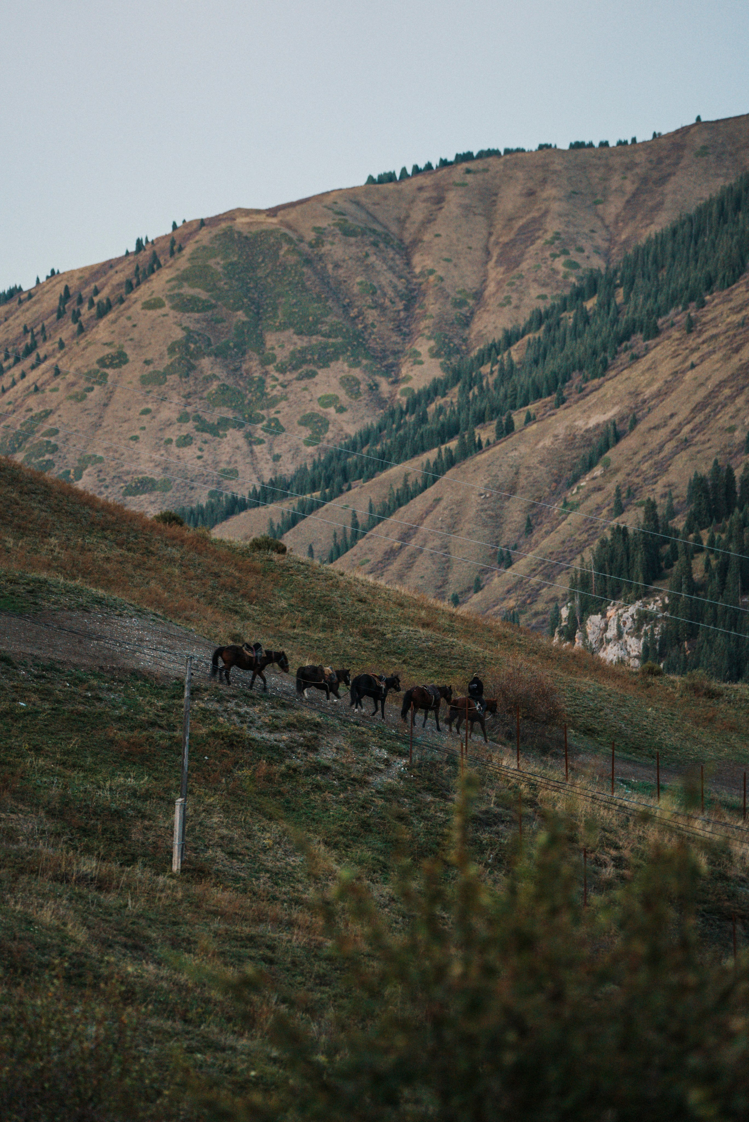 КАЗАХСТАН. Стрит-фотография, полная абсурда, идиотизма и красоты