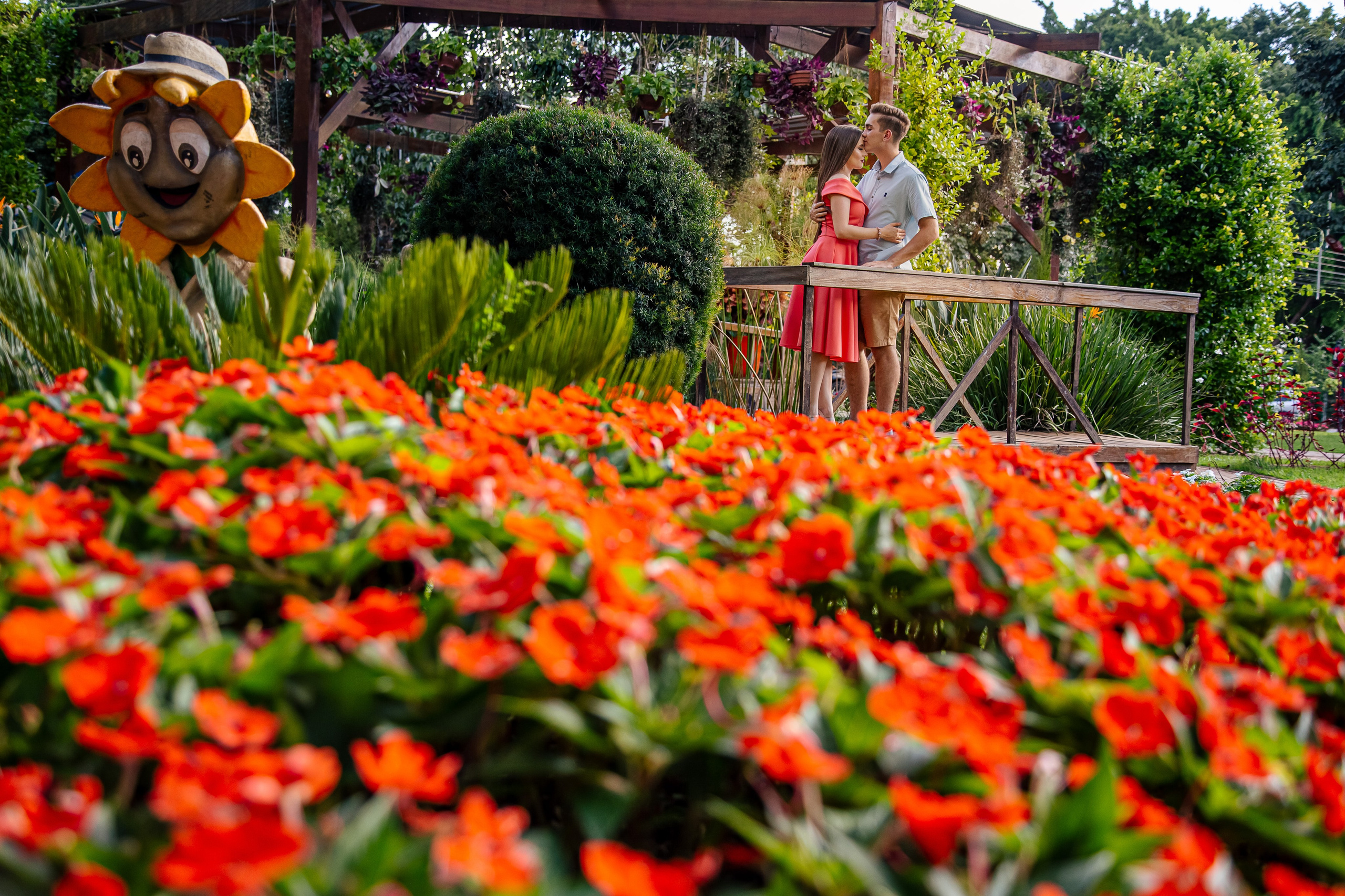 Ensaio Holambra. Tela cheia