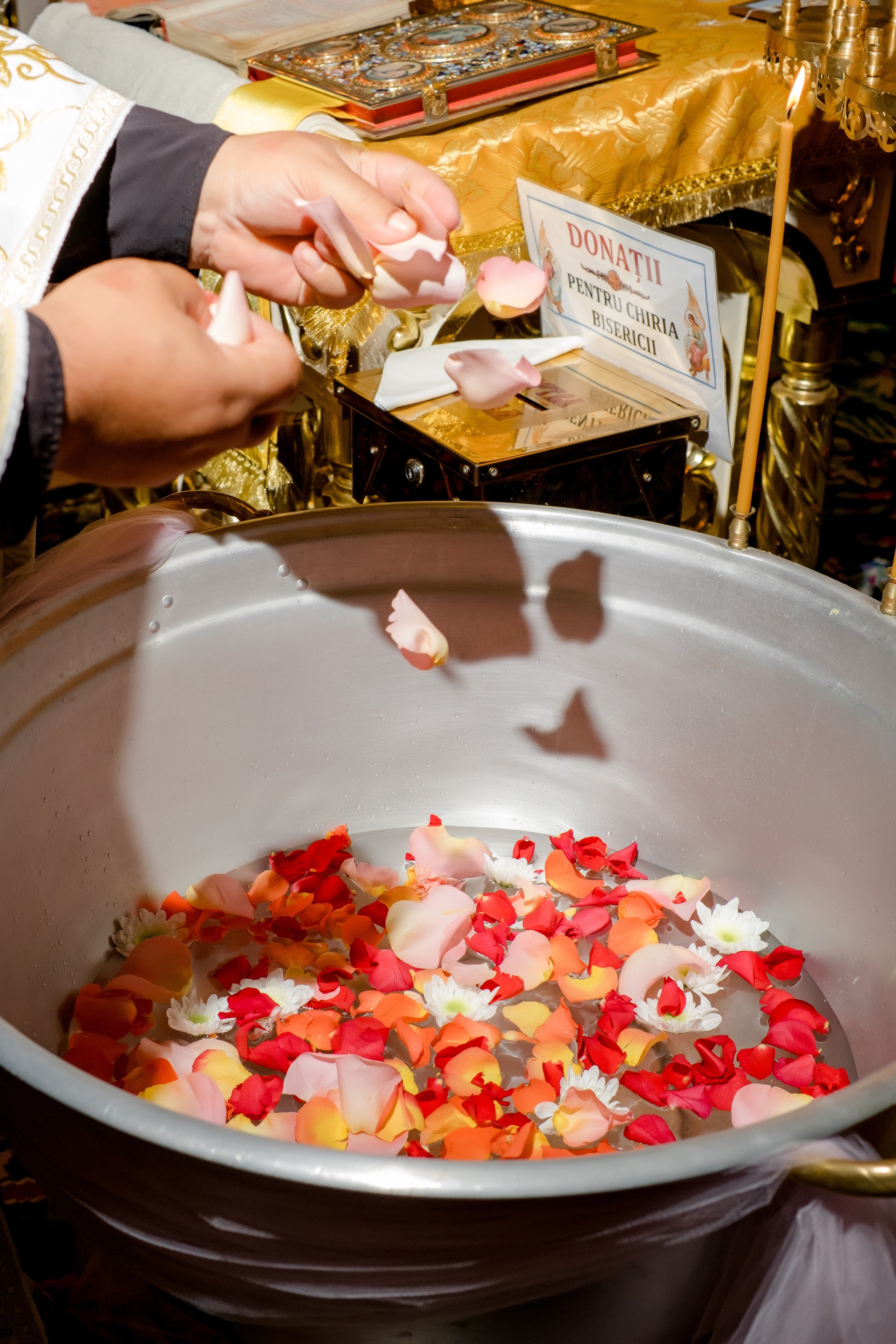 Leya. Grosu Photography