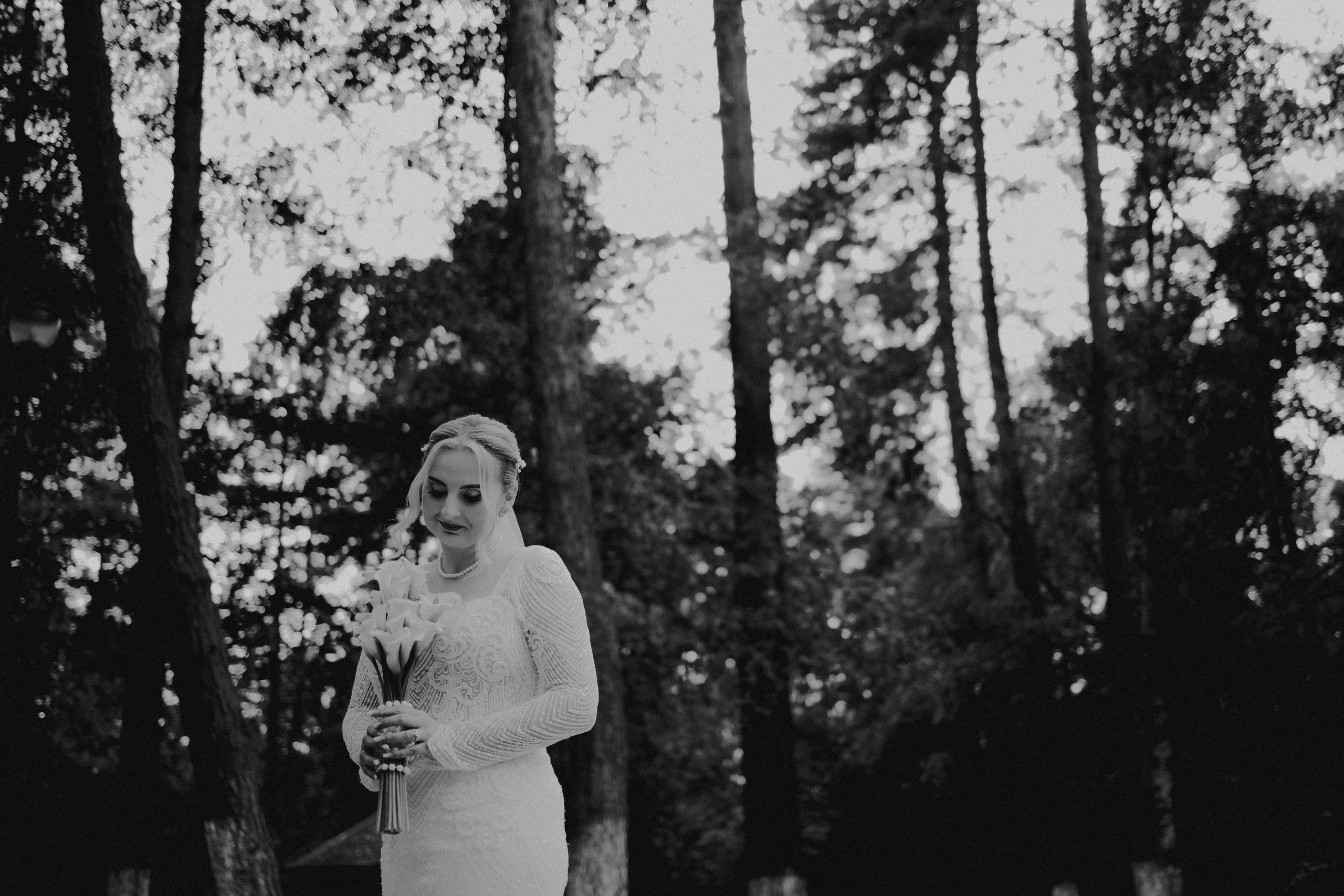Diana + Adrian / Wedding day. Foto / Video nunta Deva, Hunedoara