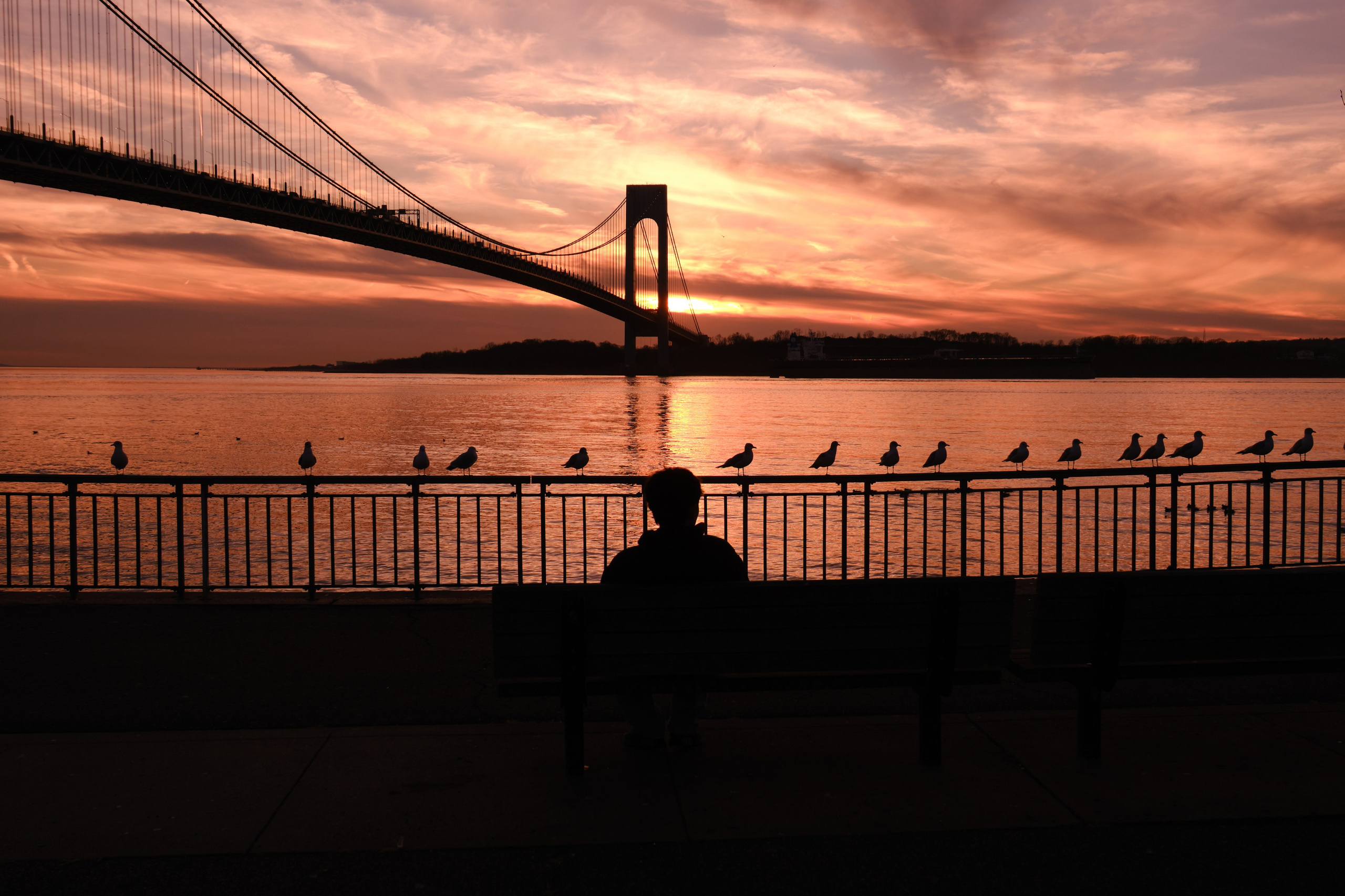 Verrazzano Narrows Bridge. Fuad Shafiyev