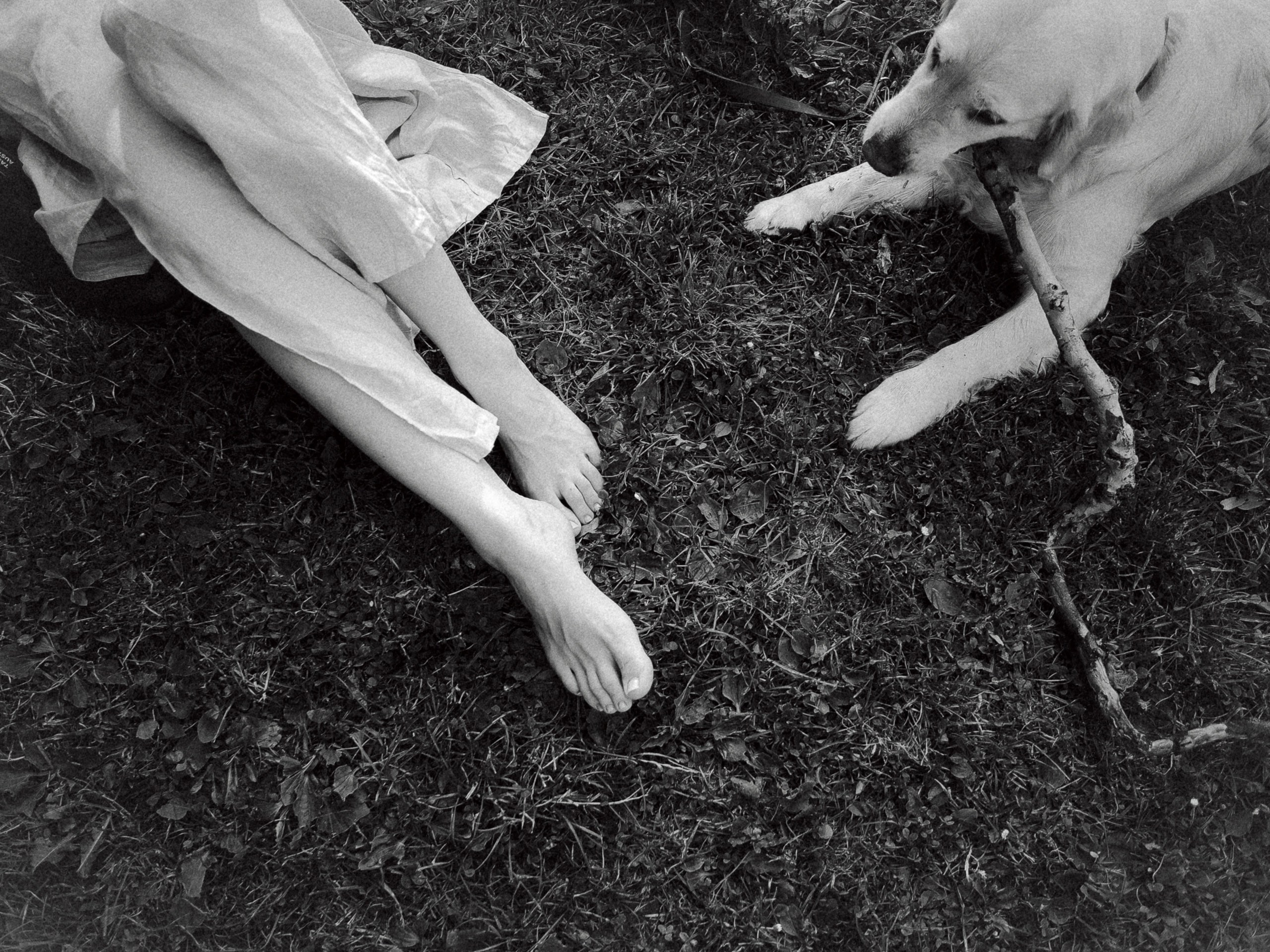 Olya + Sasha. Inna Mendelson — Photographer