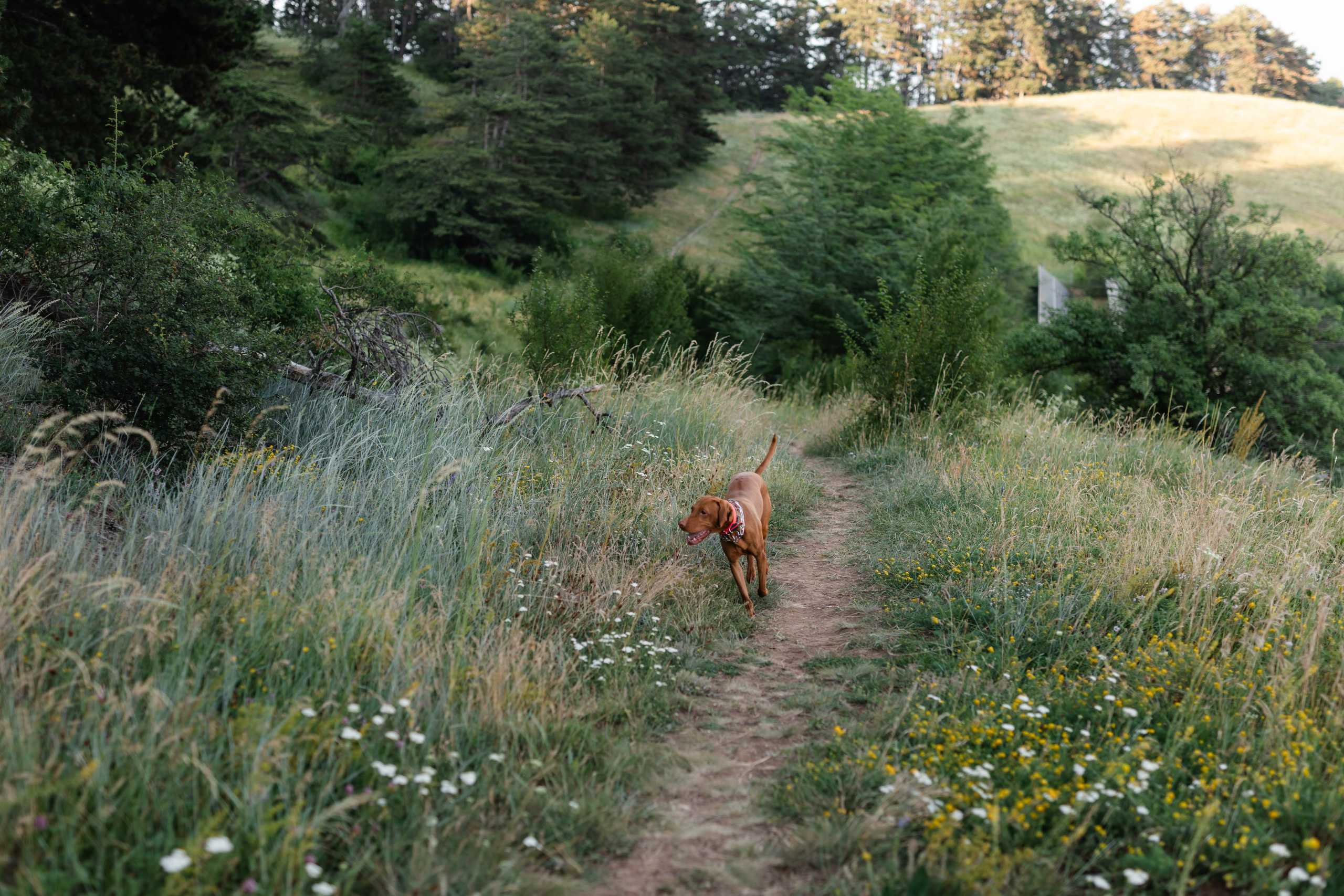 Nico, Luci & Ilaria — Family. Main