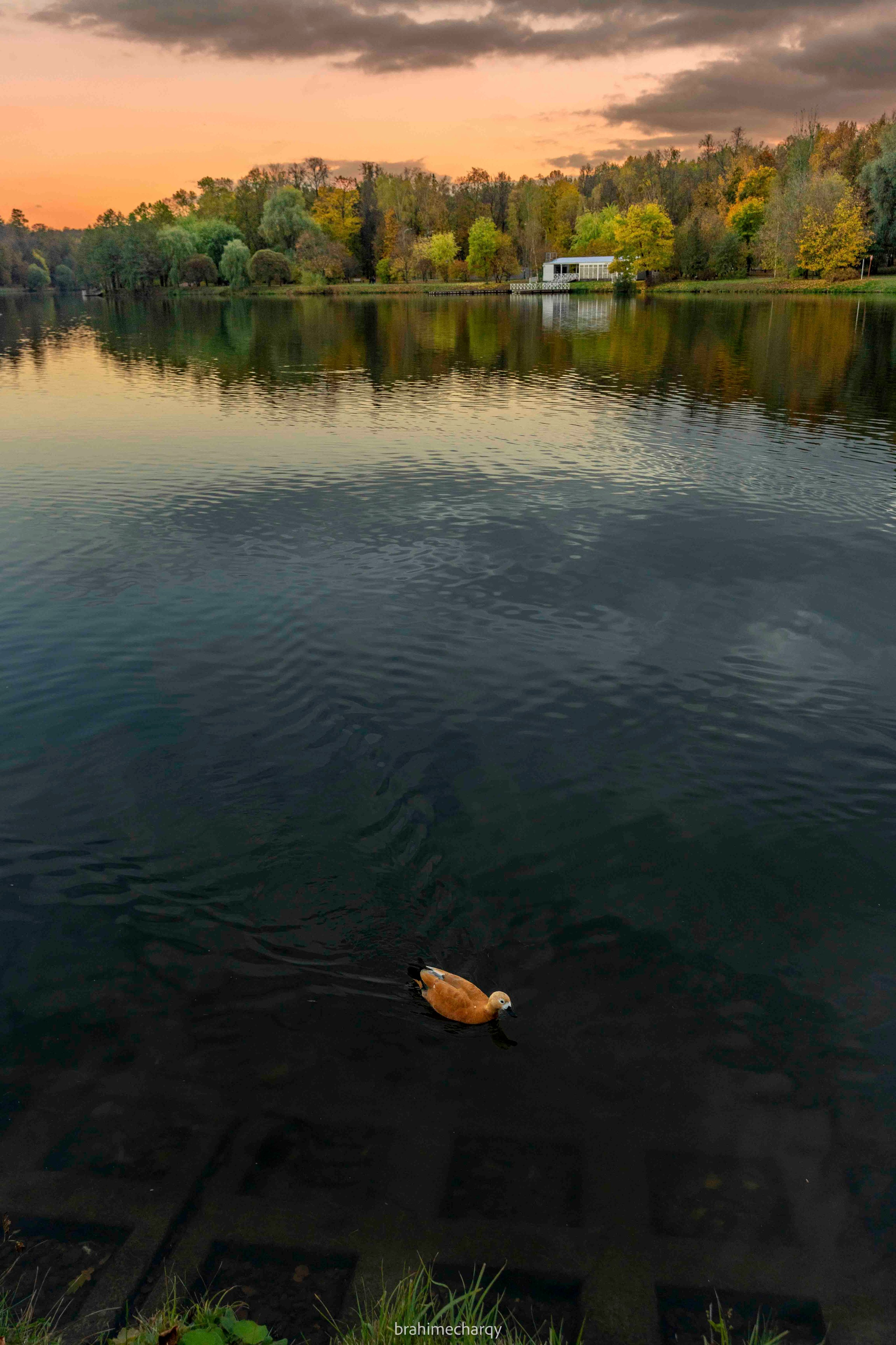Фото. Брахим — фотограф