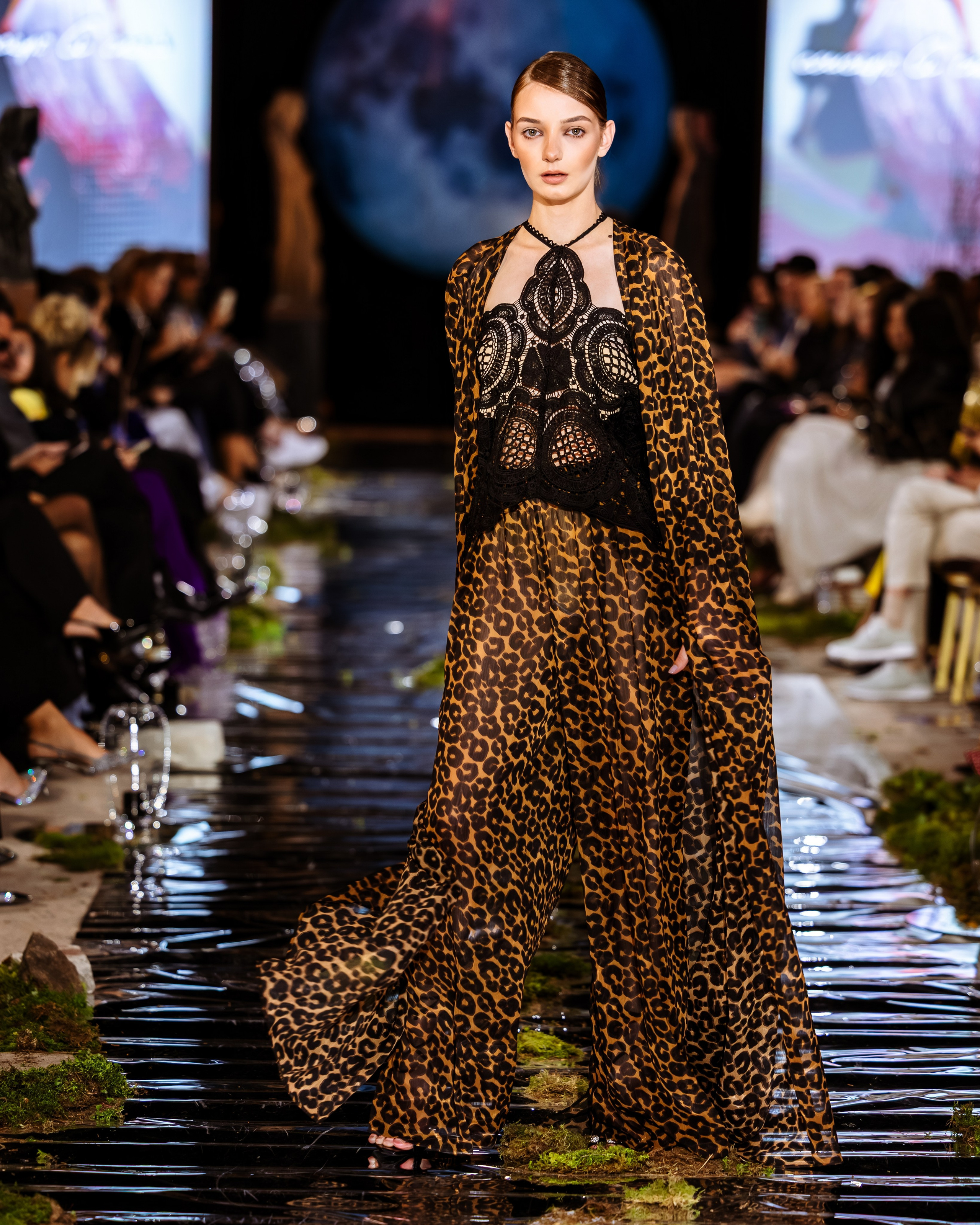 Prive. Marius Ciocan