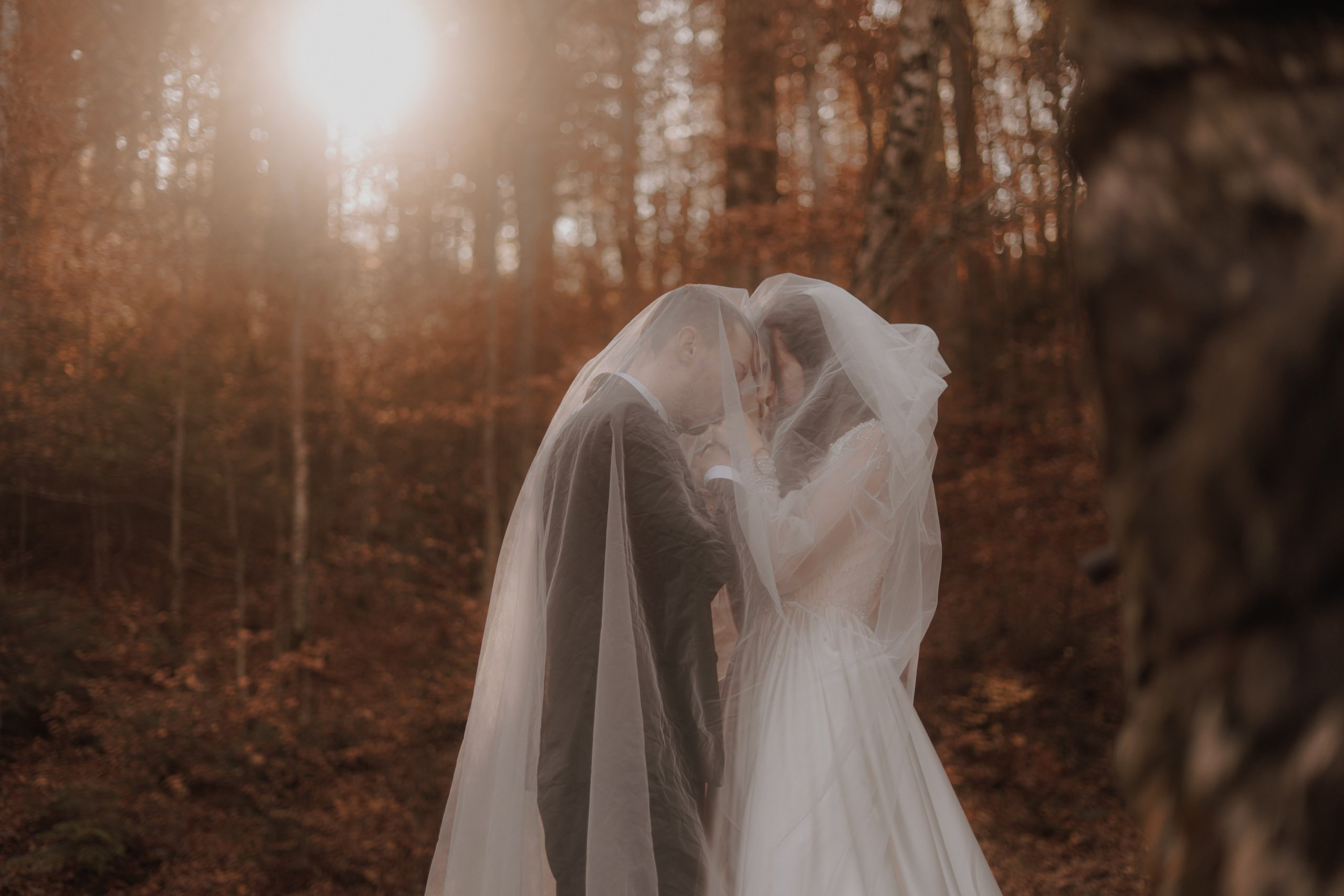Trash the Dress- Andra & Andrei. Events photographer Paul Dafina