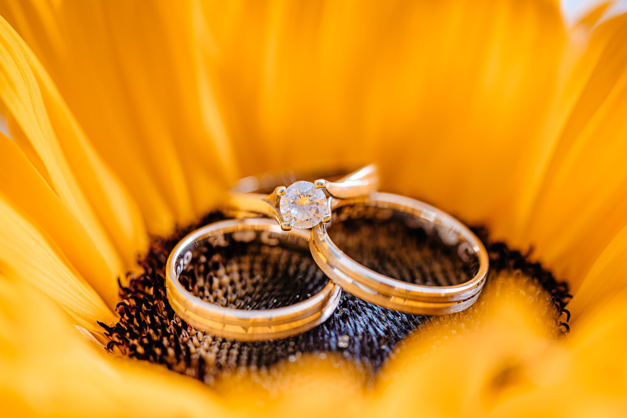 Familia Maerean — 05.10.2024. DanFotograf.dk