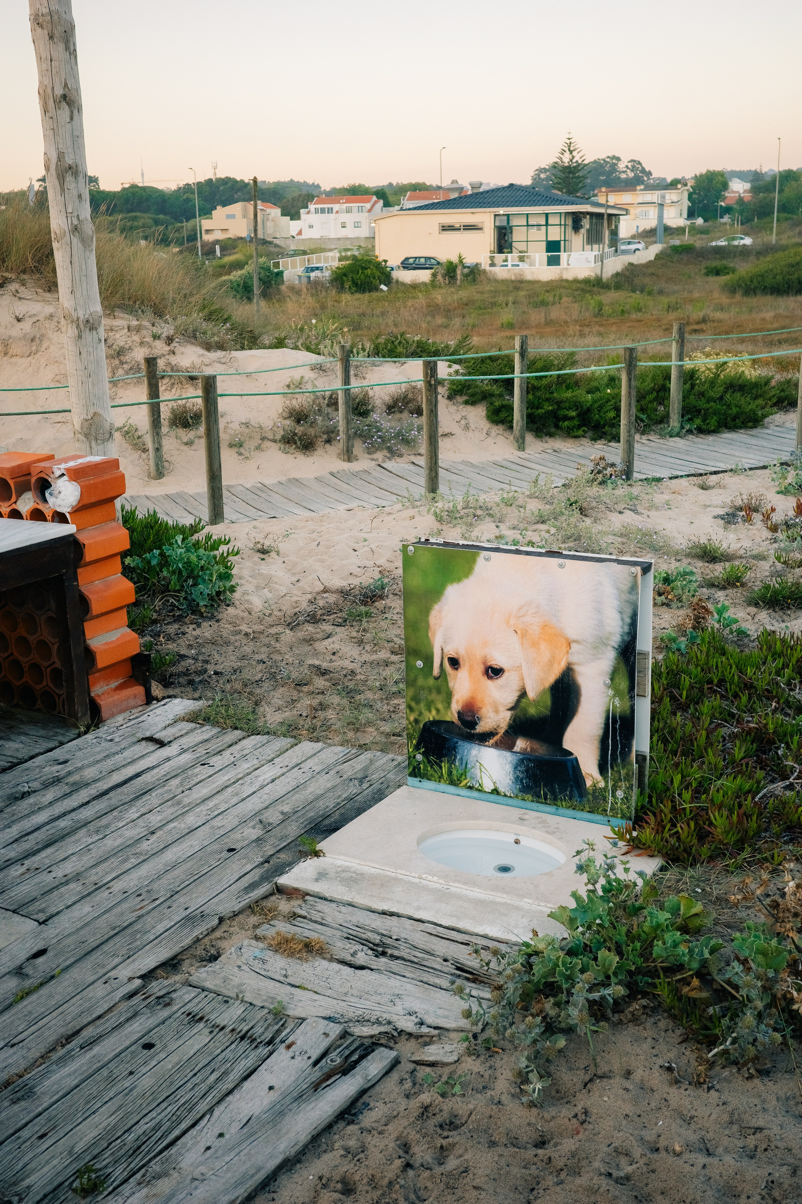 Работы Марии Шер. Sher.SCHOOL