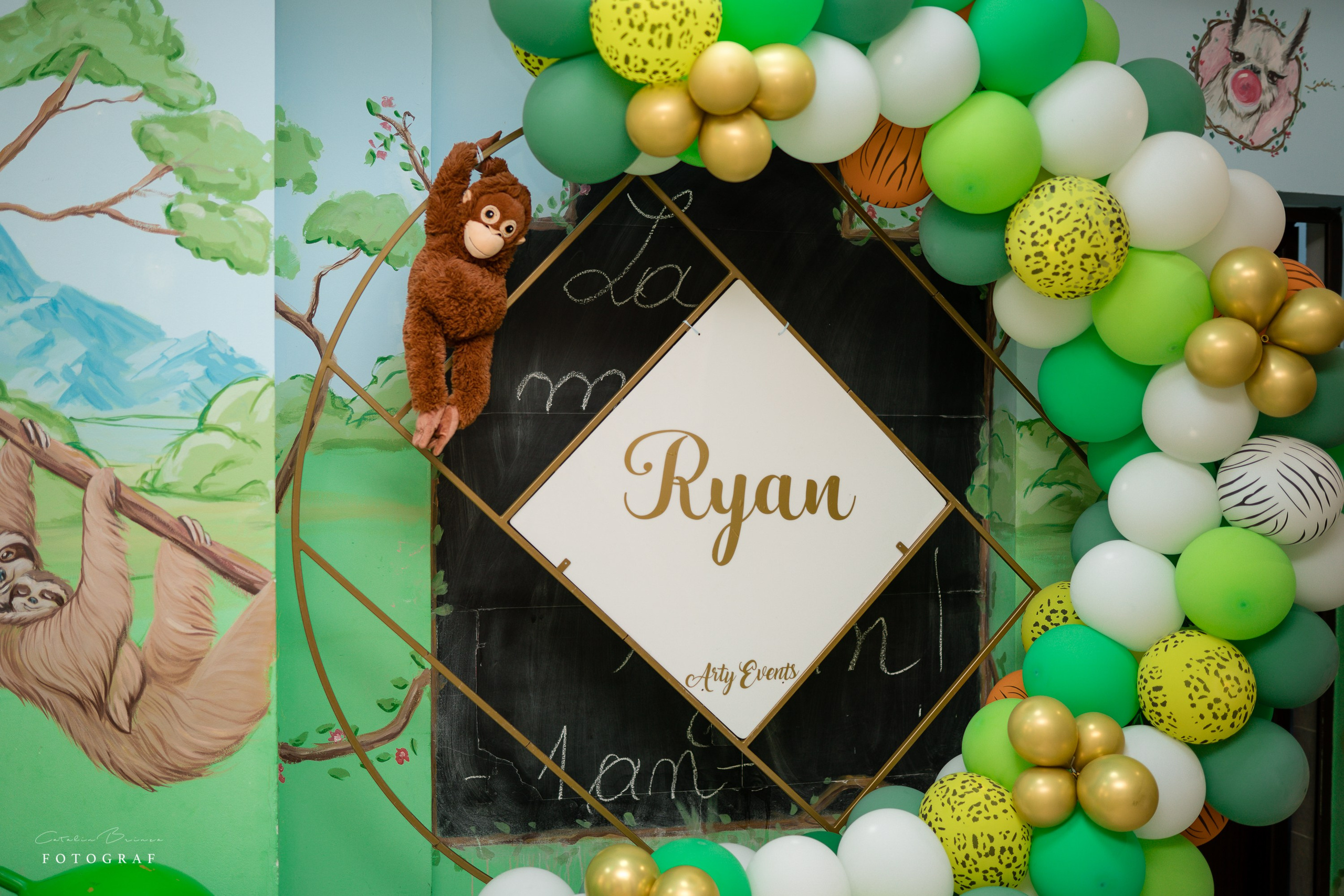 Taiere Mot — Ryan. Catalin Brinza