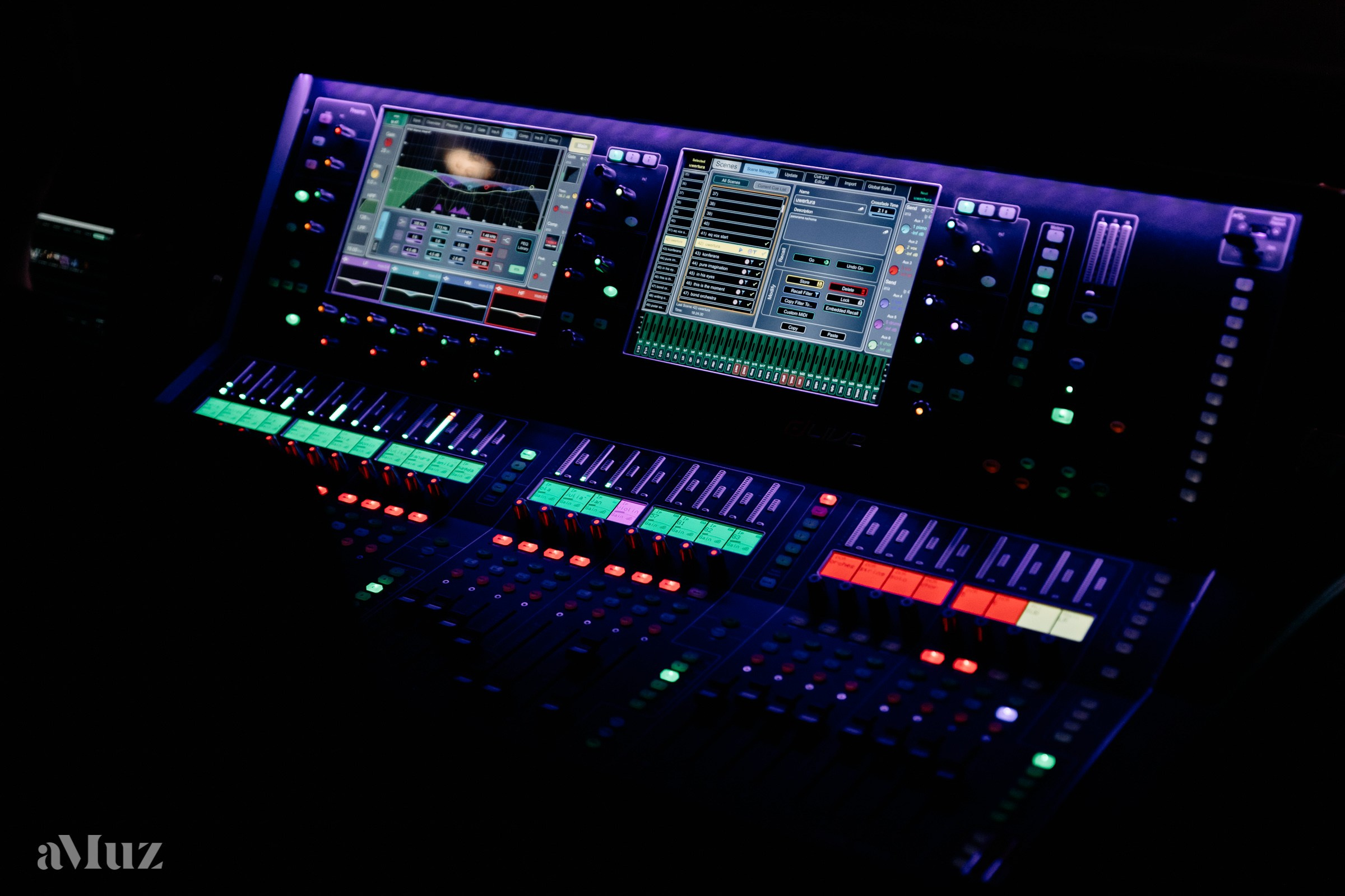 Koncert Amuz.pl. Fotograf Ślubny Warszawa - Sesje Biznesowe Rodzinne Eventy