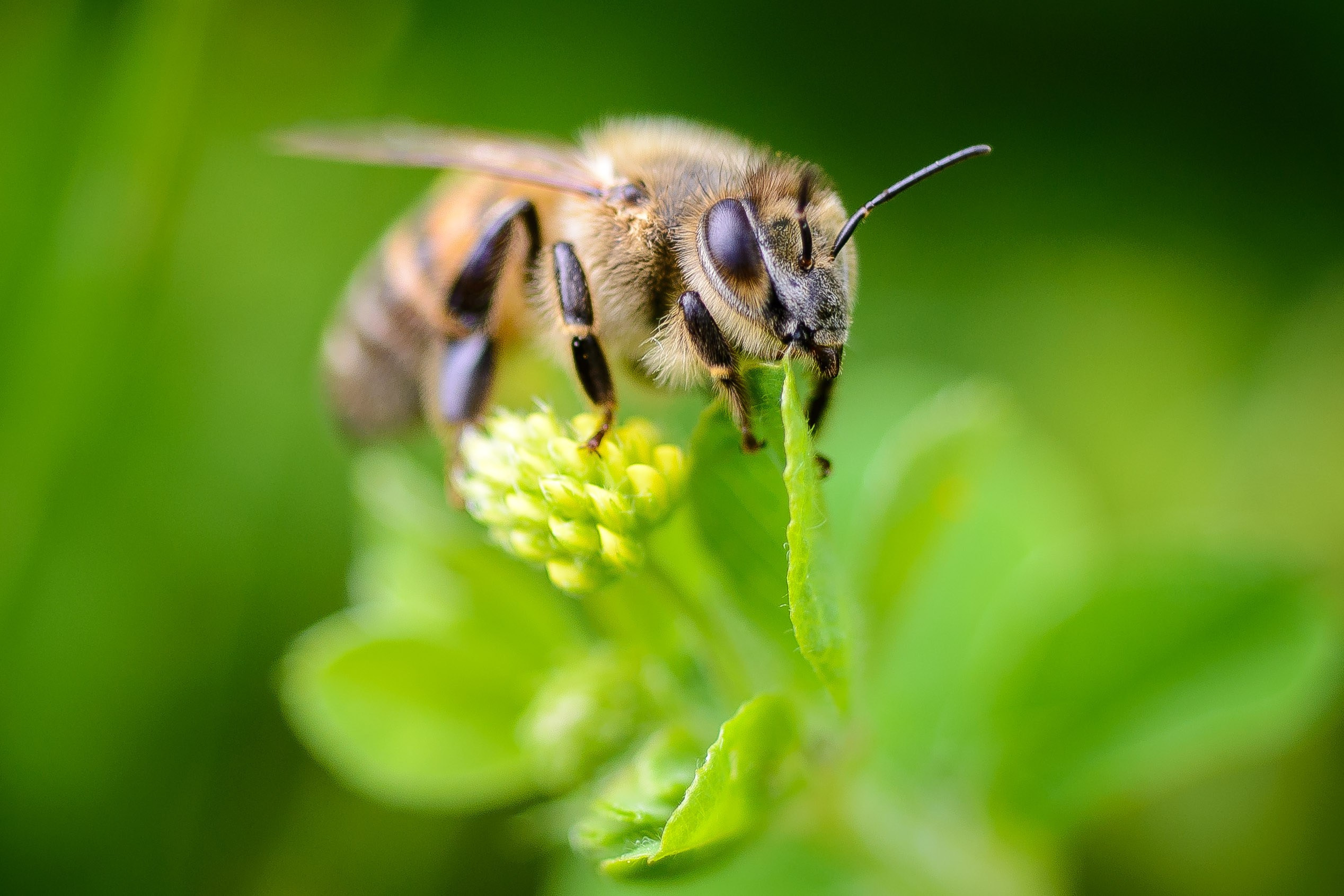 Nature. Ritvars Pujats Emotion Photographer