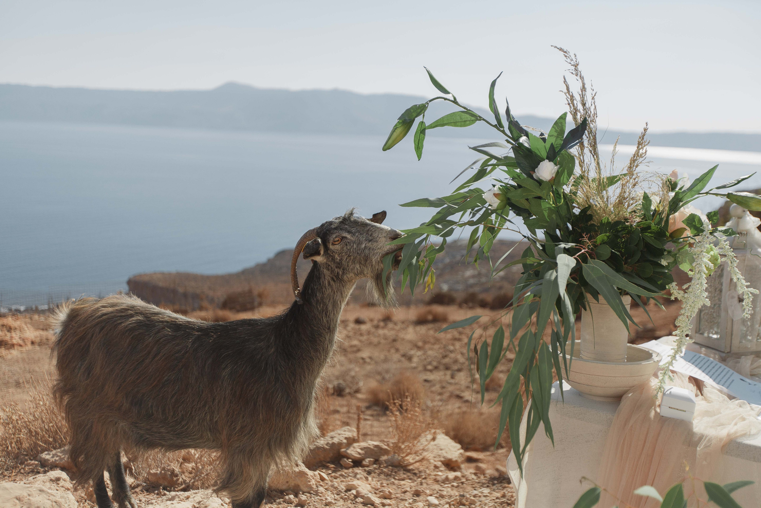Marino & Steffi, Crete. Denny Savon — Photographer in Santorini | Weddings, Love Stories & Flying Dress