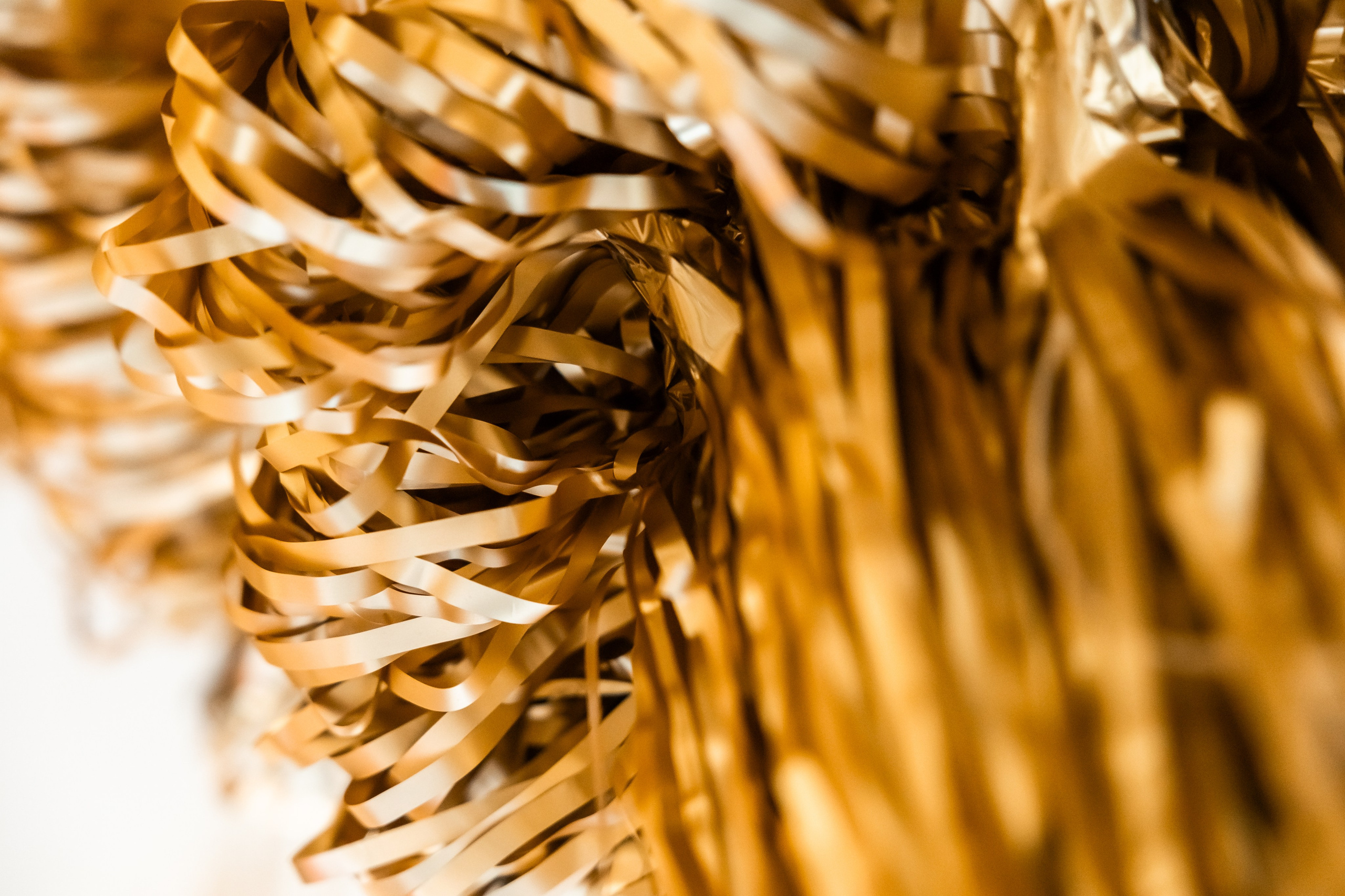 Коледа 2023-24. Фотограф Ирина Йотова