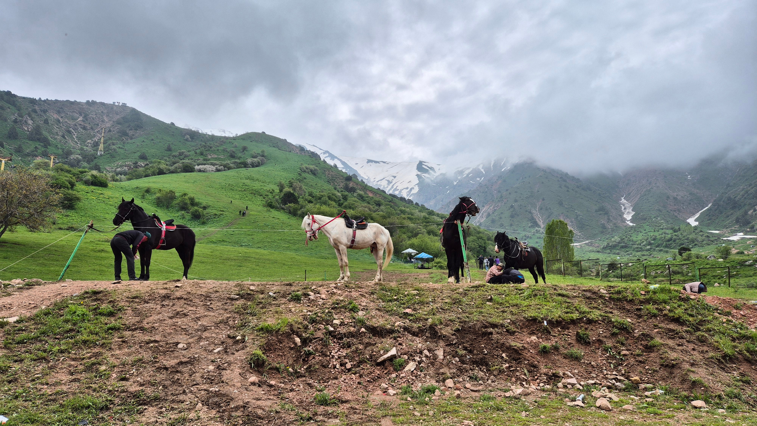 Uzbekistan 2024. Photographer Marina, city of Nuremberg