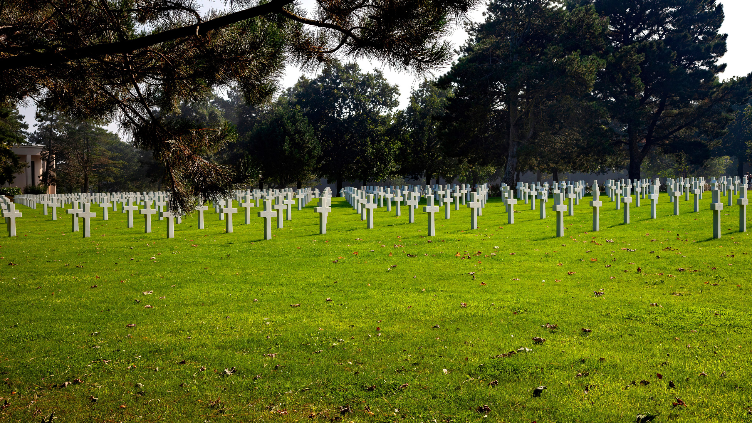 179.Normandy American Cemetery.France.19.9.2024. Путешествия в формате 360......
