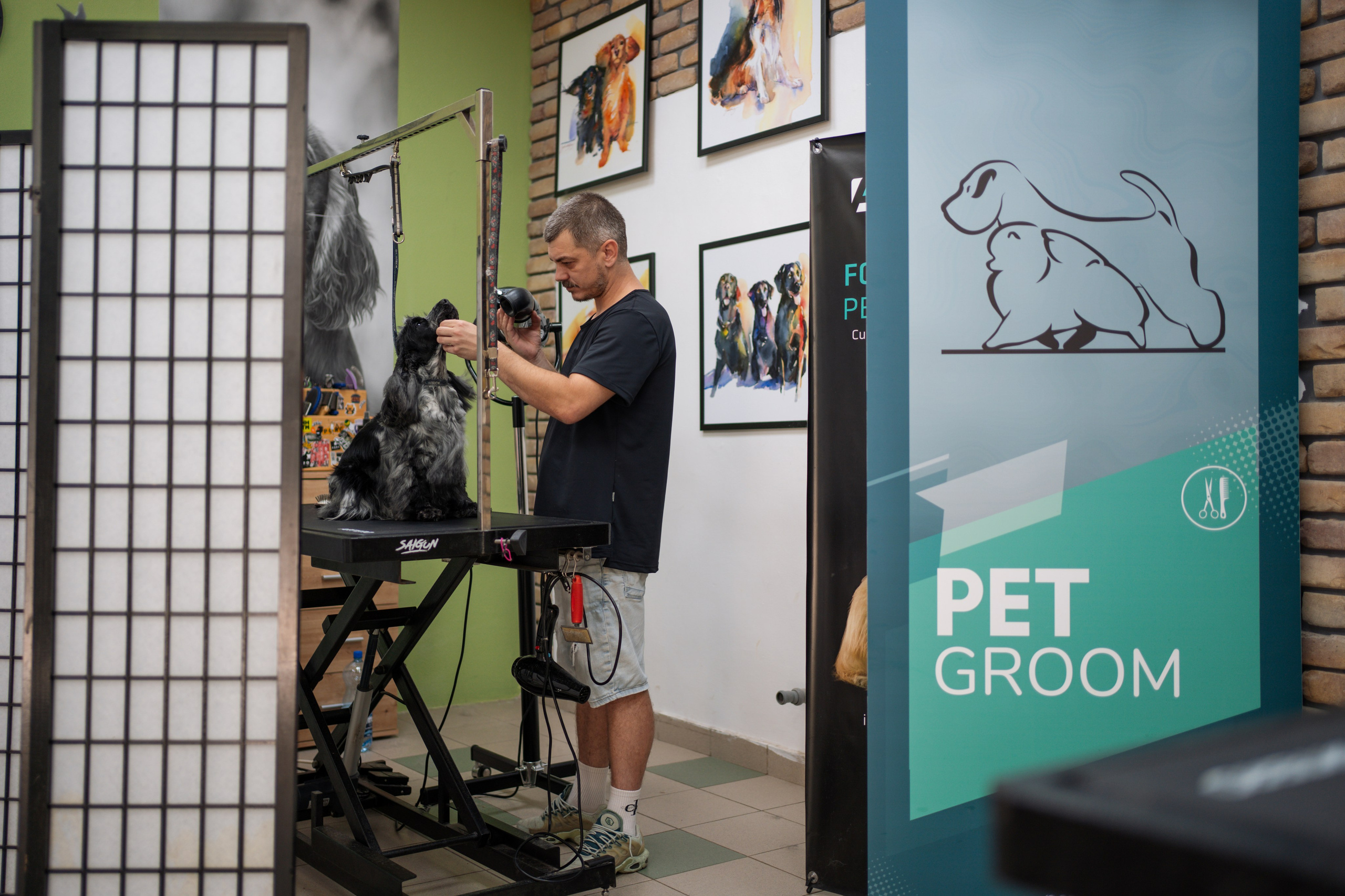 PetGroom Timisoara. Cozac Cristian Photographer
