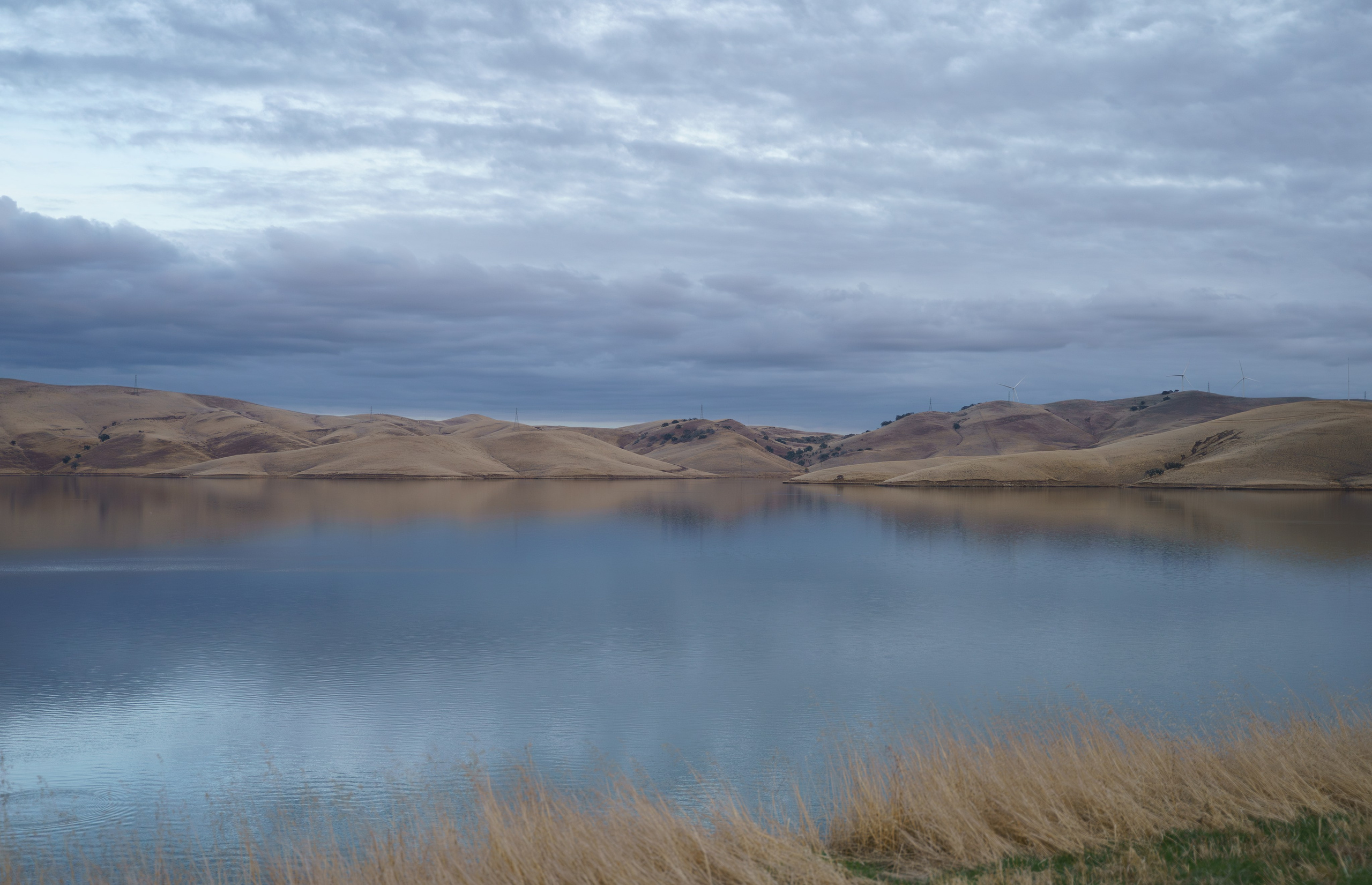 Los Vaqueros Reservoir. Tatiana Smirnova — Photographer