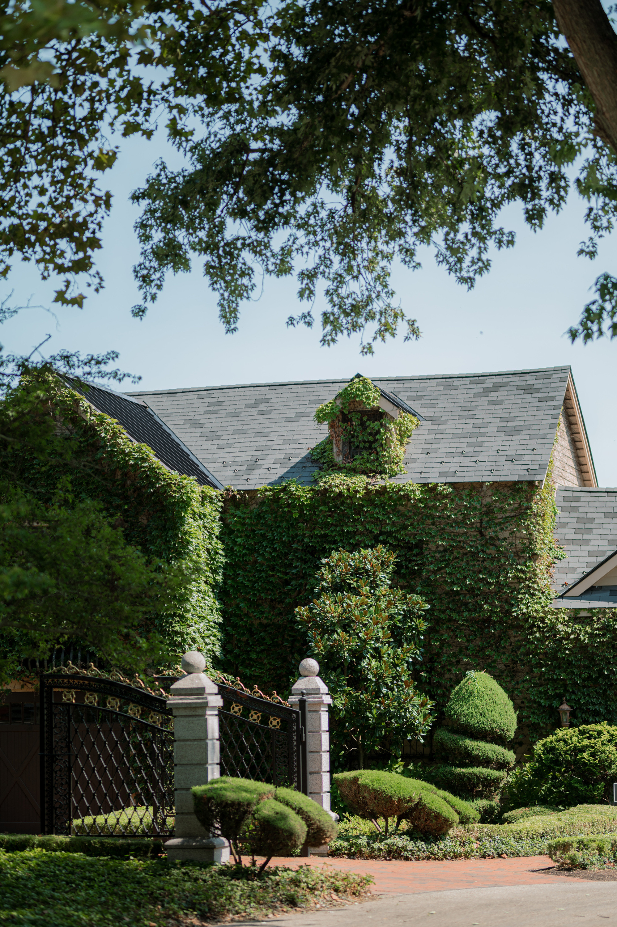 a large house with a large tree in front of it