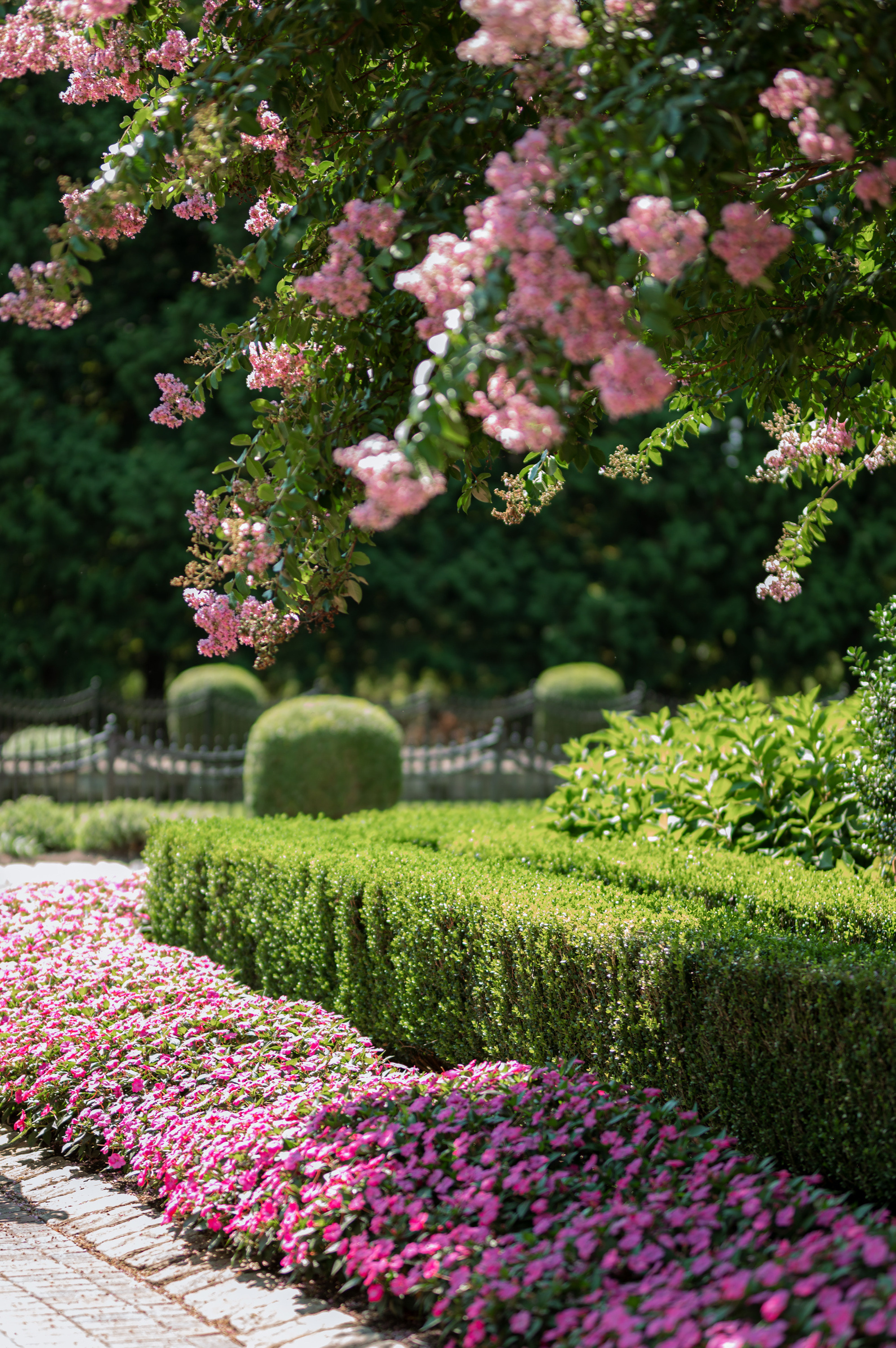 a woman walking down a sidewalk with a pink flower