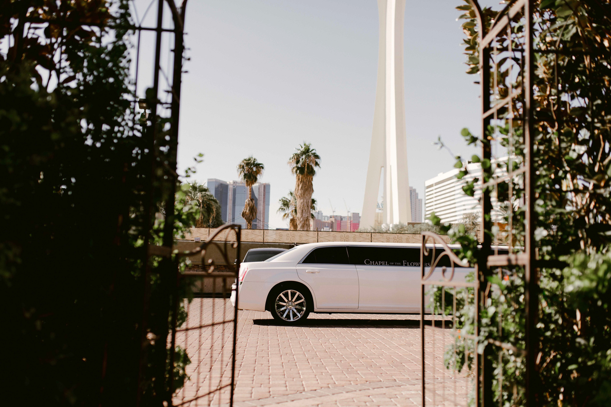 a white limousine parked in front of a monument