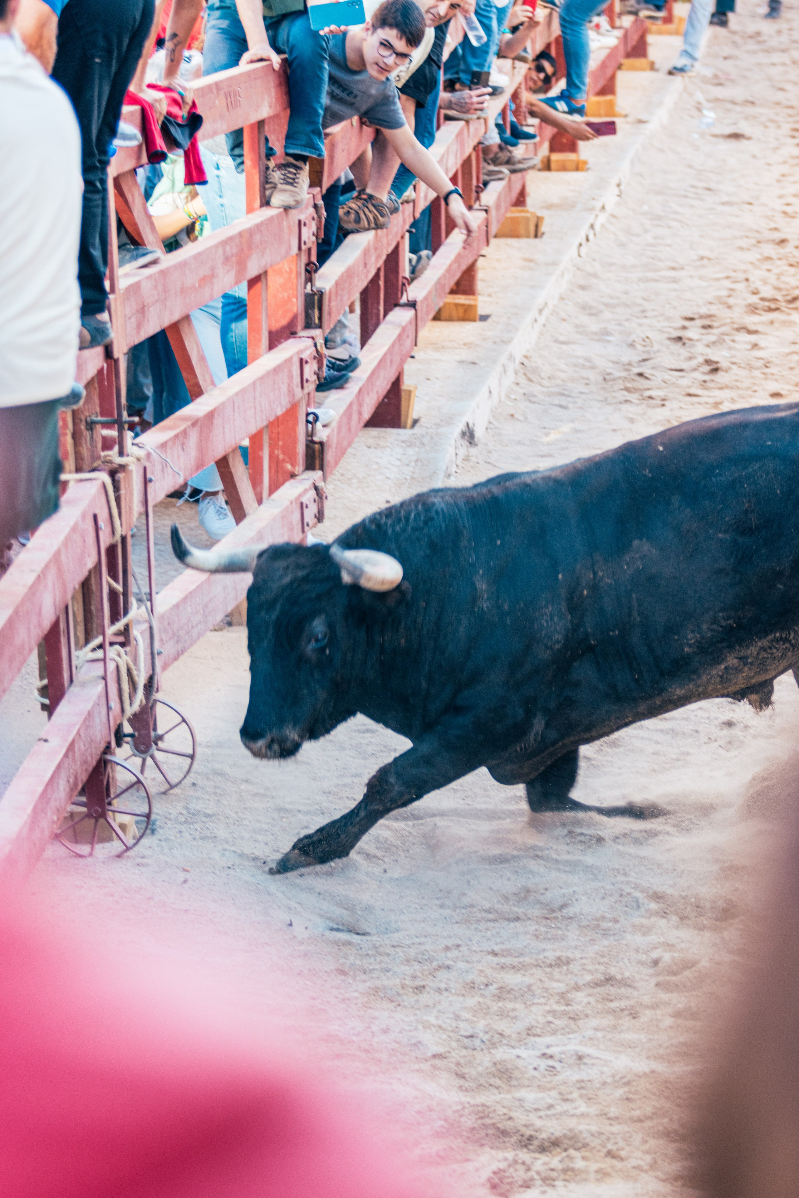 FEIRA DE MAIO AZAMBUJA 2024