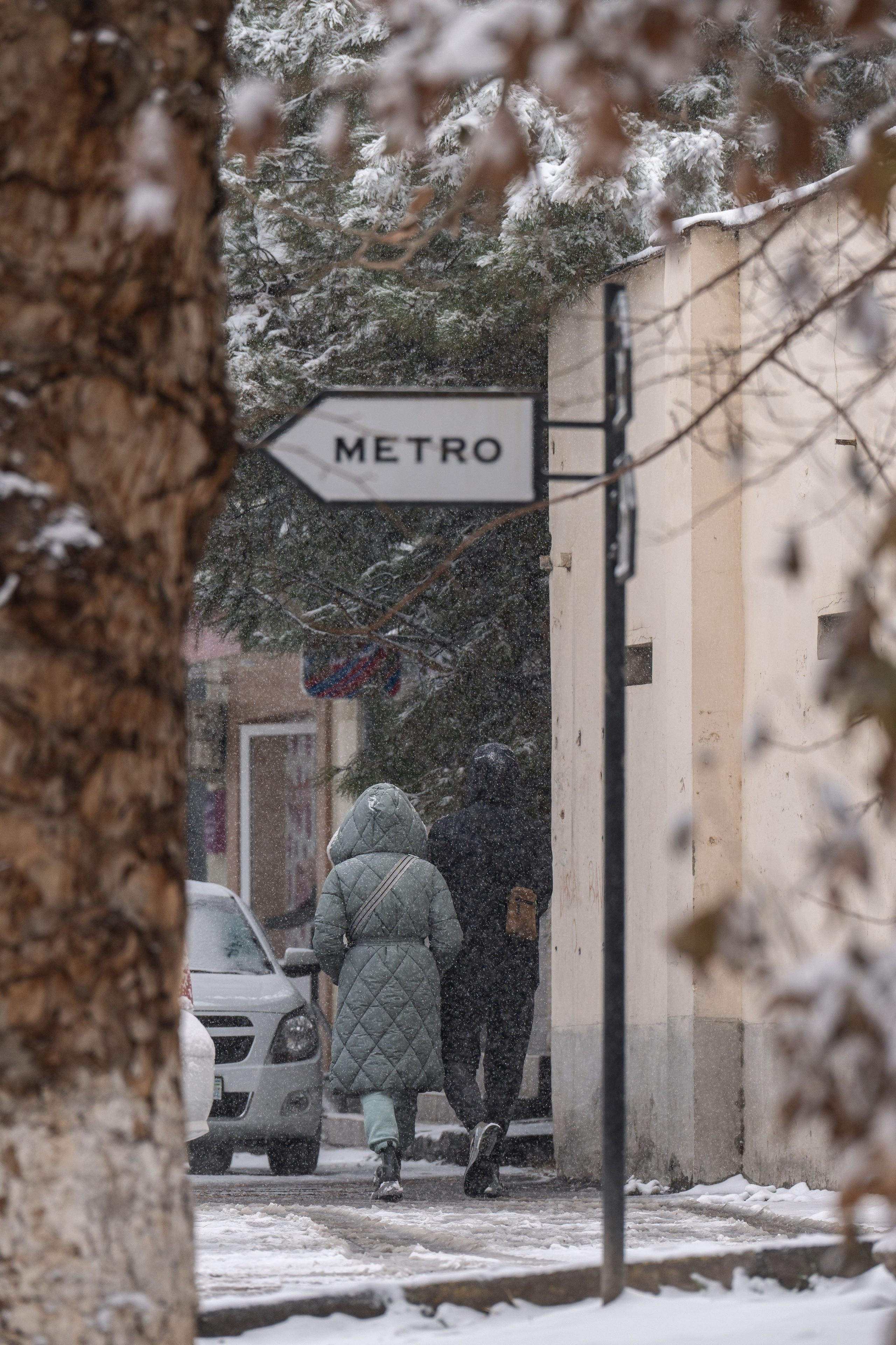 Снег. Георгий Намазов | Фотограф в Ташкенте