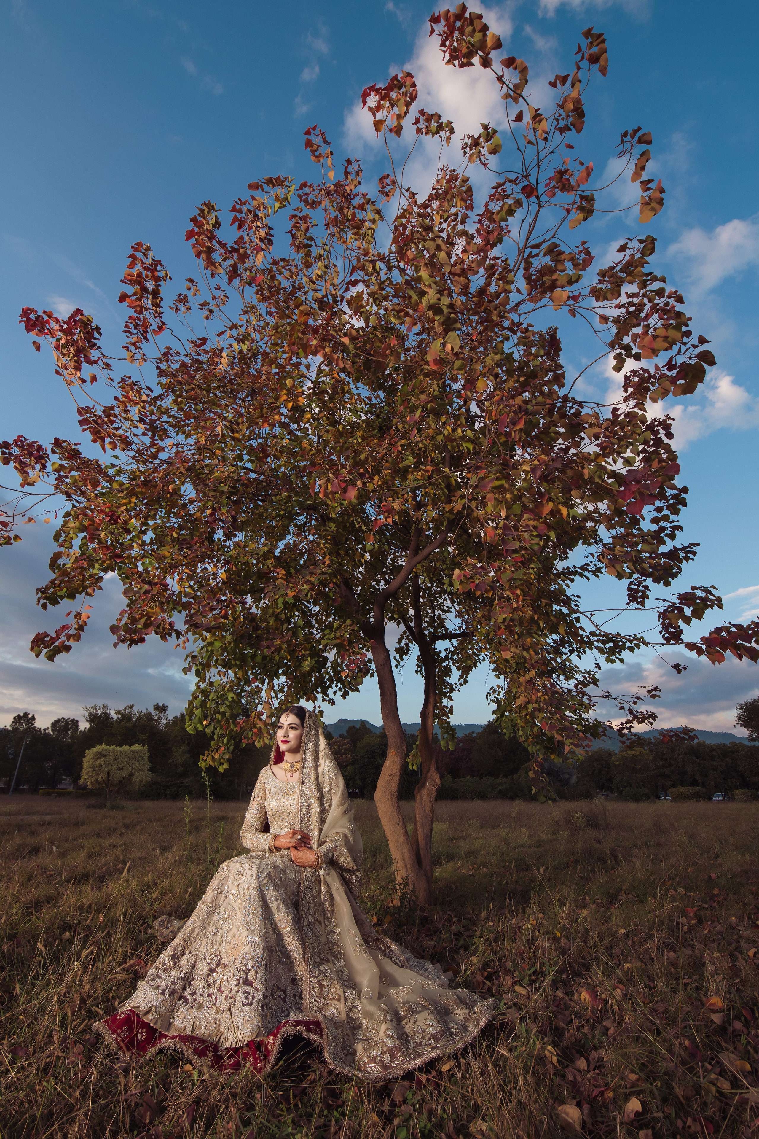 Portfolio. Chaar Bhai — Your Personal Family Historians