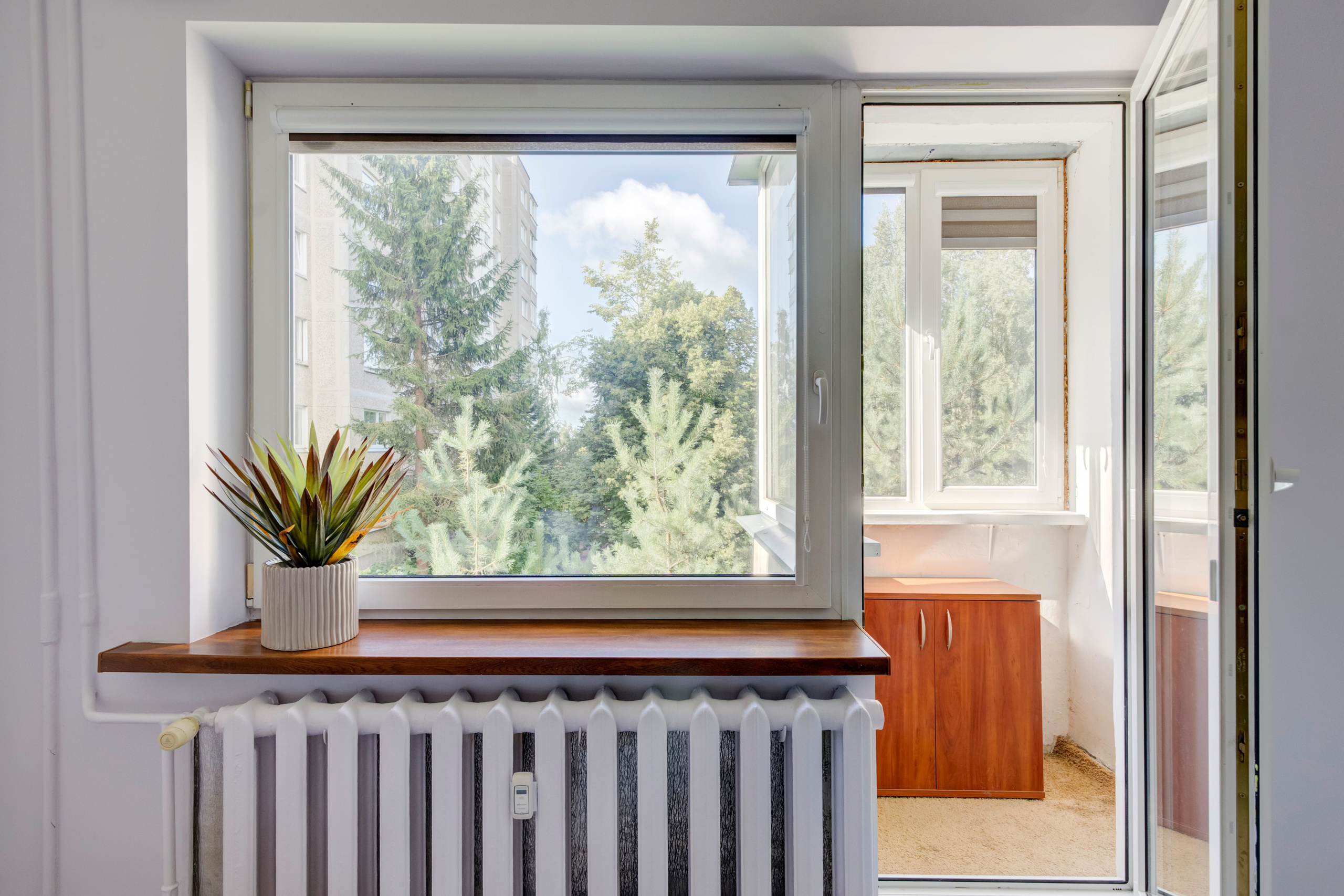 Gabijos g. Elina Sapiega fotografė Vilniuje