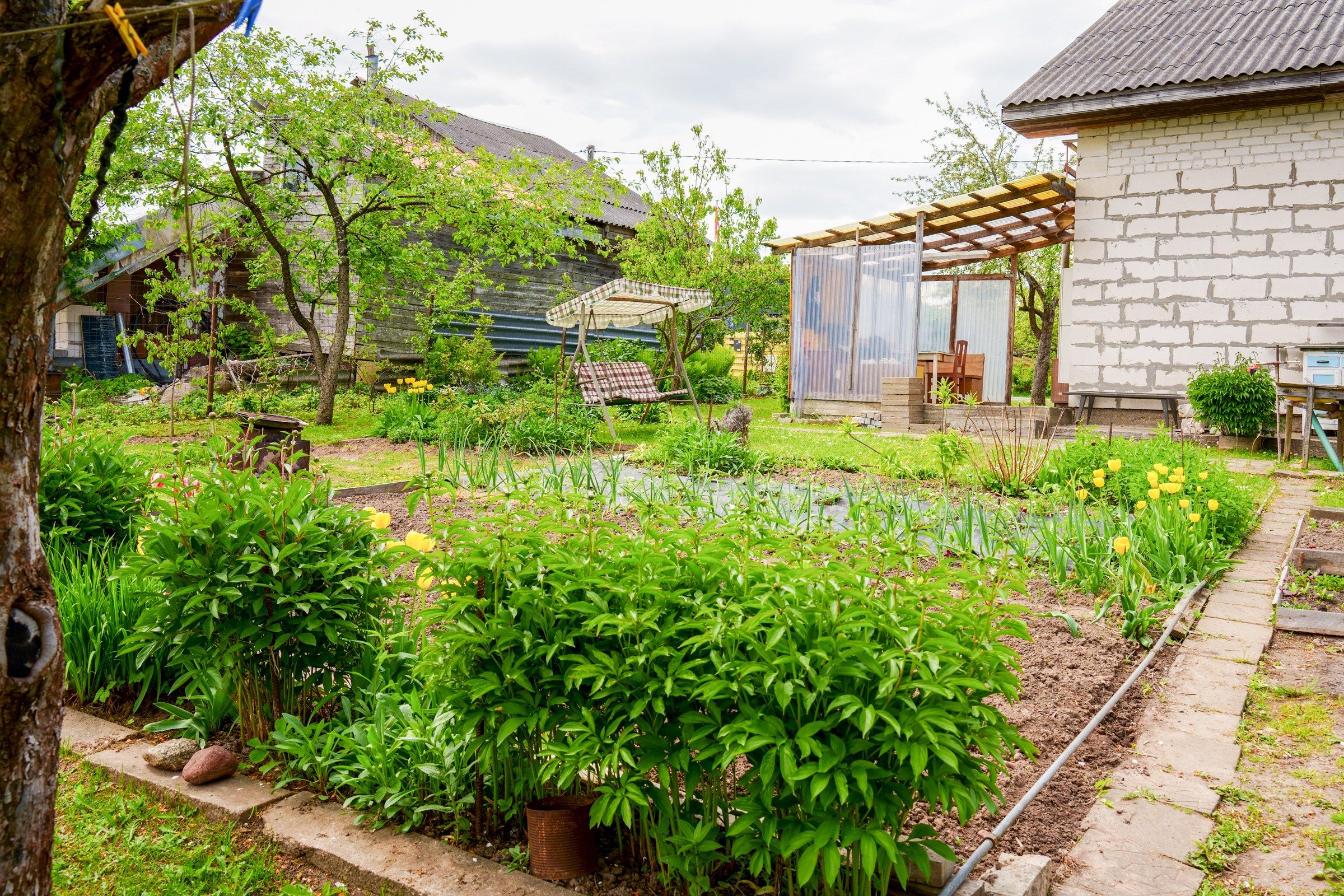 Pupojų sodų 3-oji. Elina Sapiega fotografė Vilniuje