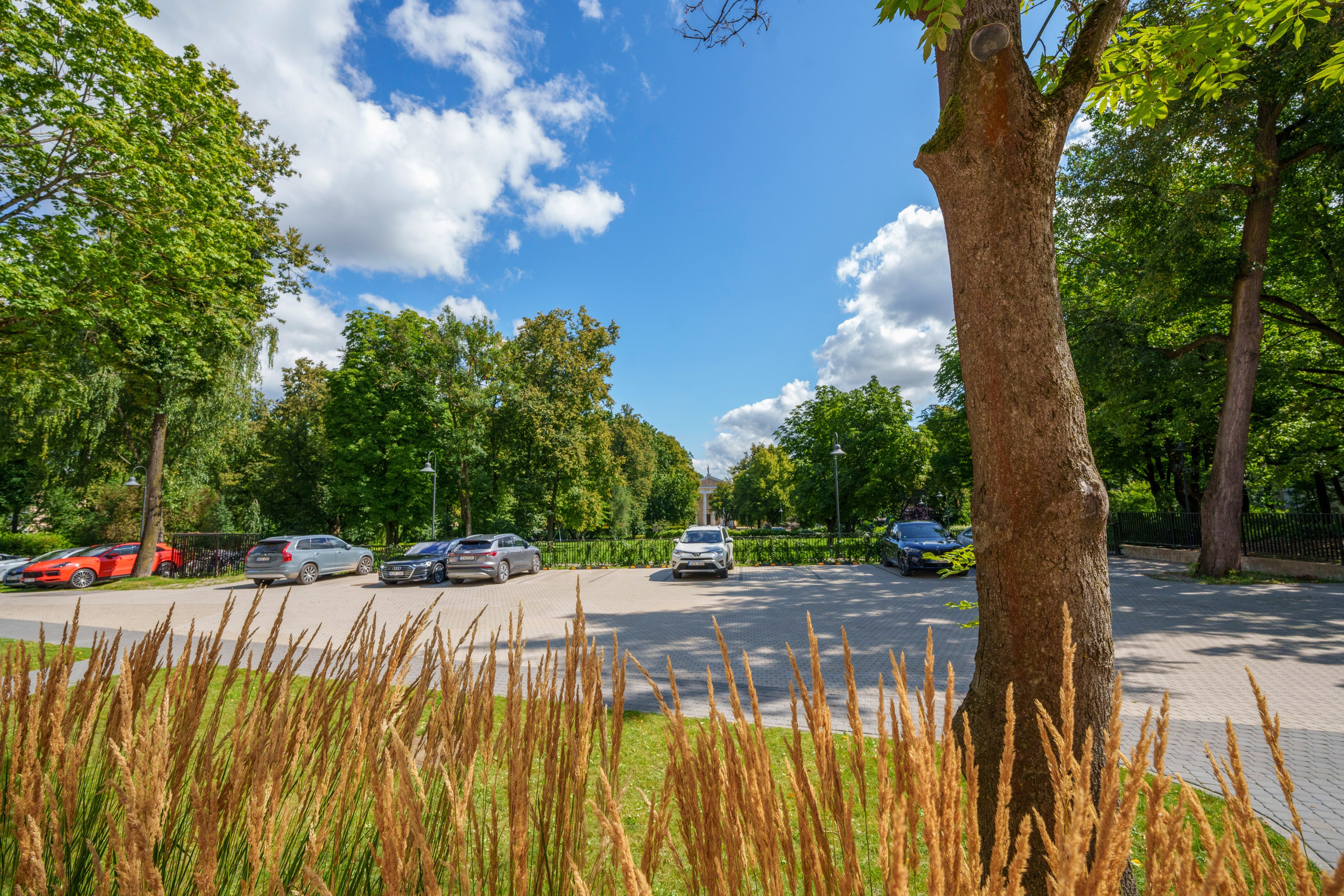 Teatro g. 7 , Vilnius. Elina Sapiega fotografė Vilniuje