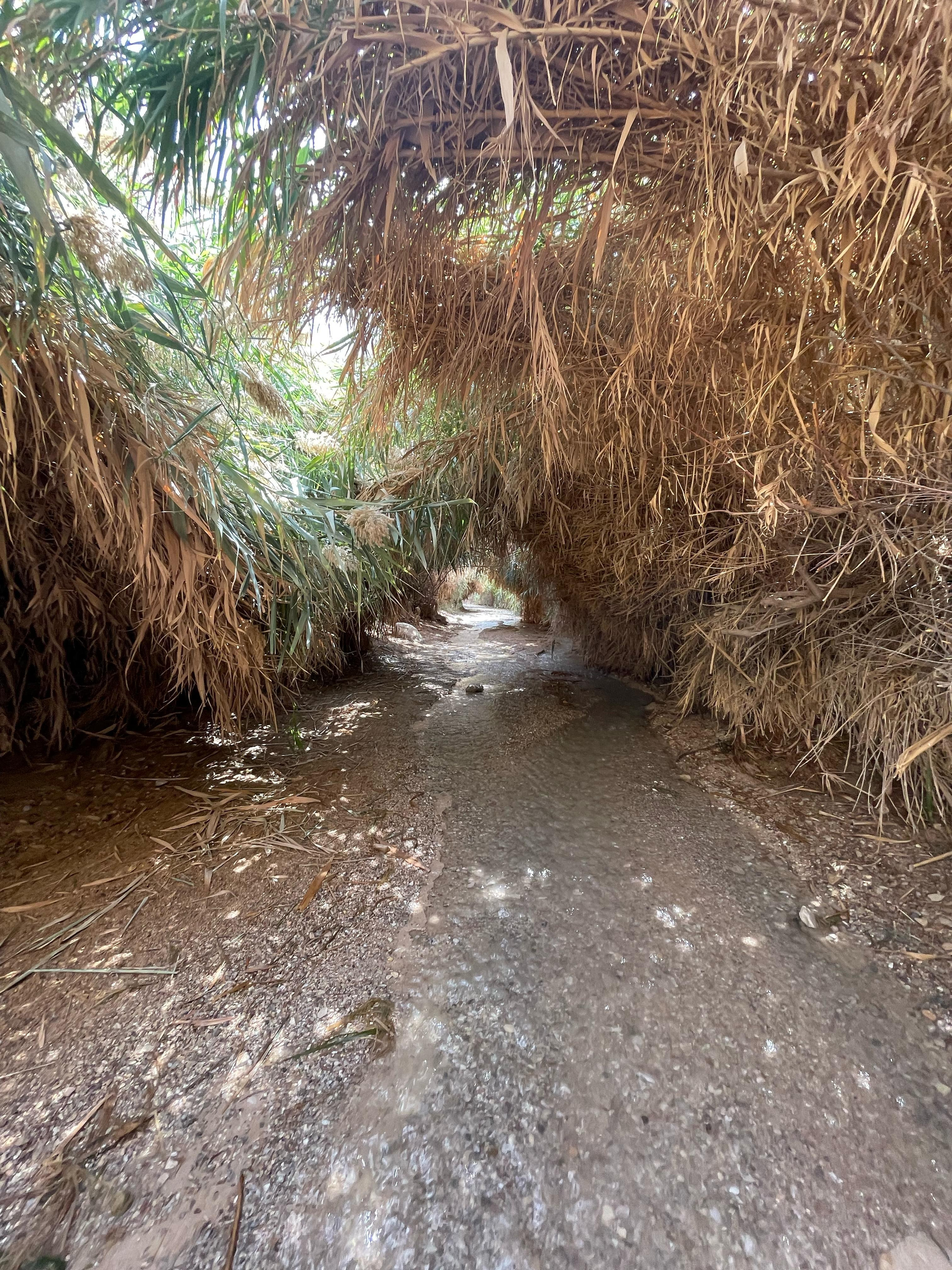 Женский поход 2024 — клуб «Нортман». КРиС «Нортман»