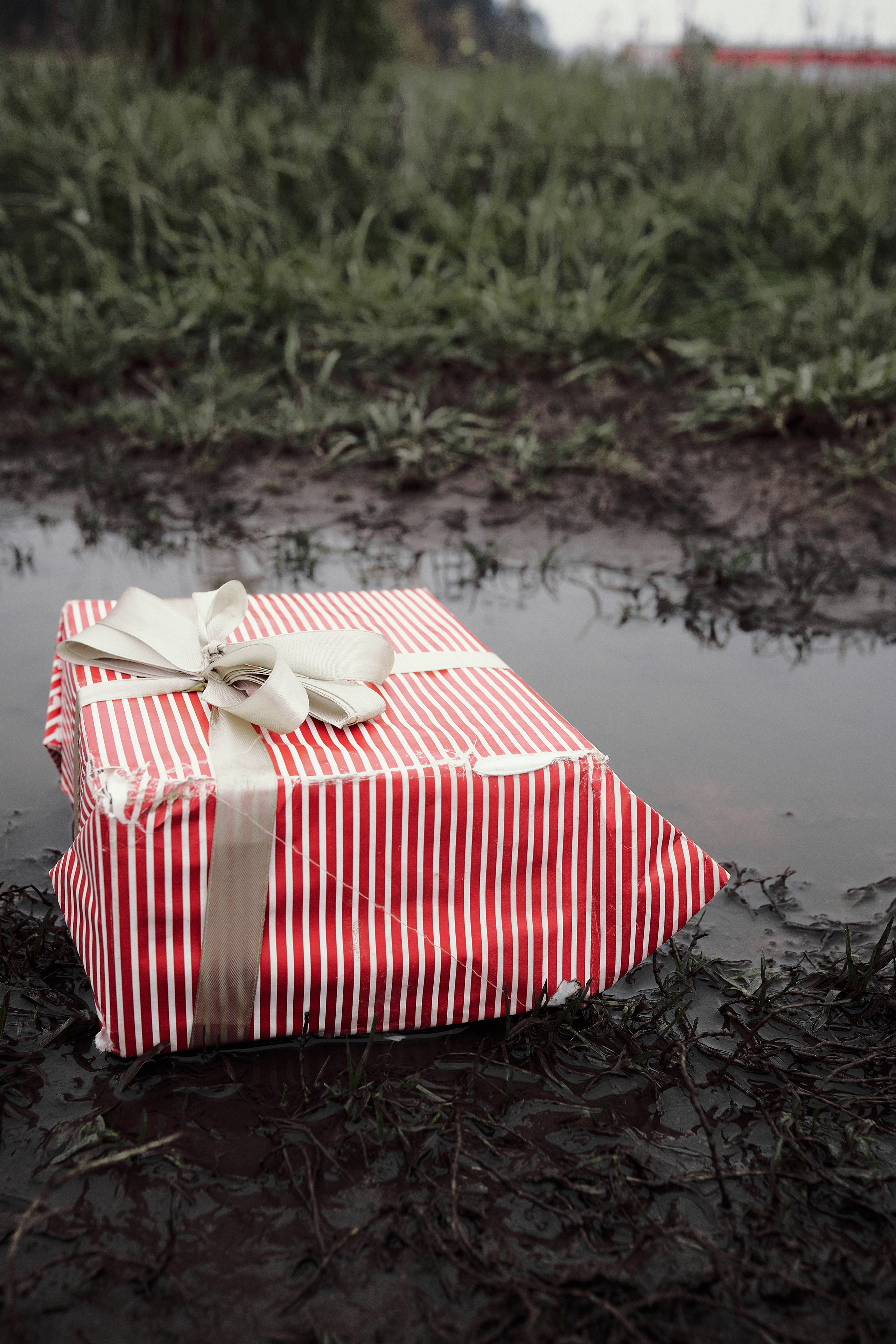 Portrait photographer in Riga. Photographer in Doha, Qatar