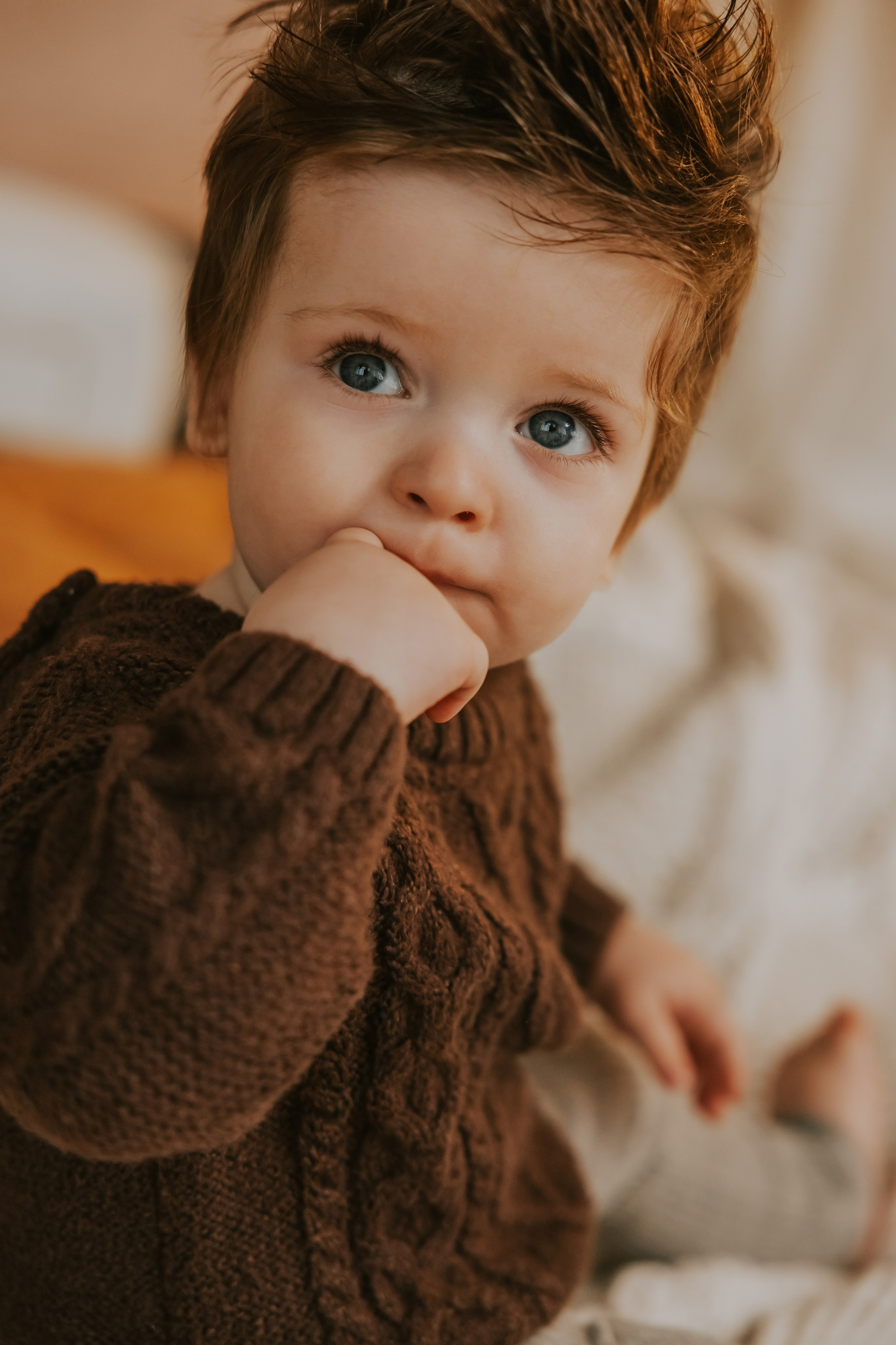 Декор 2026. Фотограф Ирина Йотова