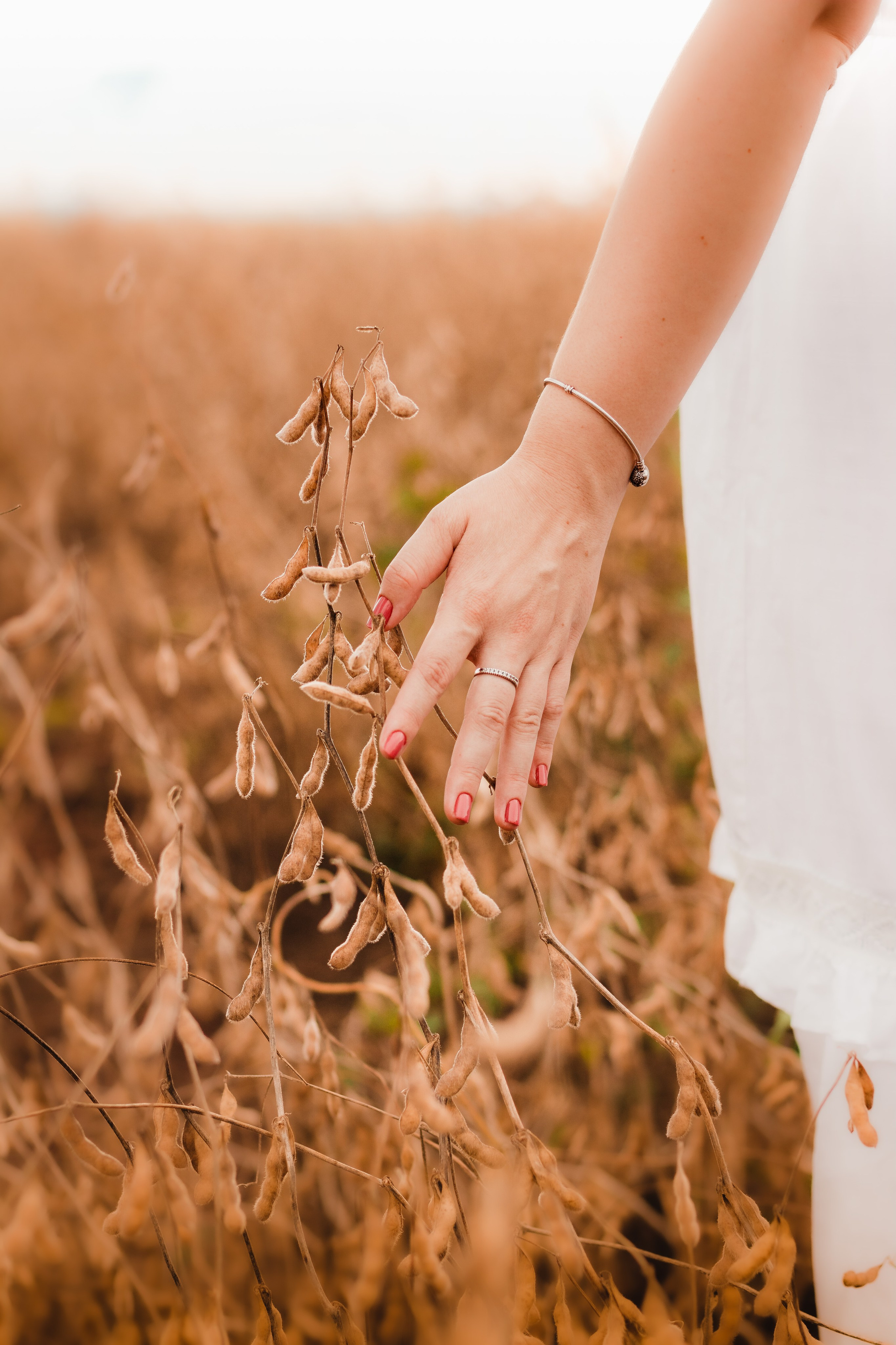 Karina & Felipe. Principal