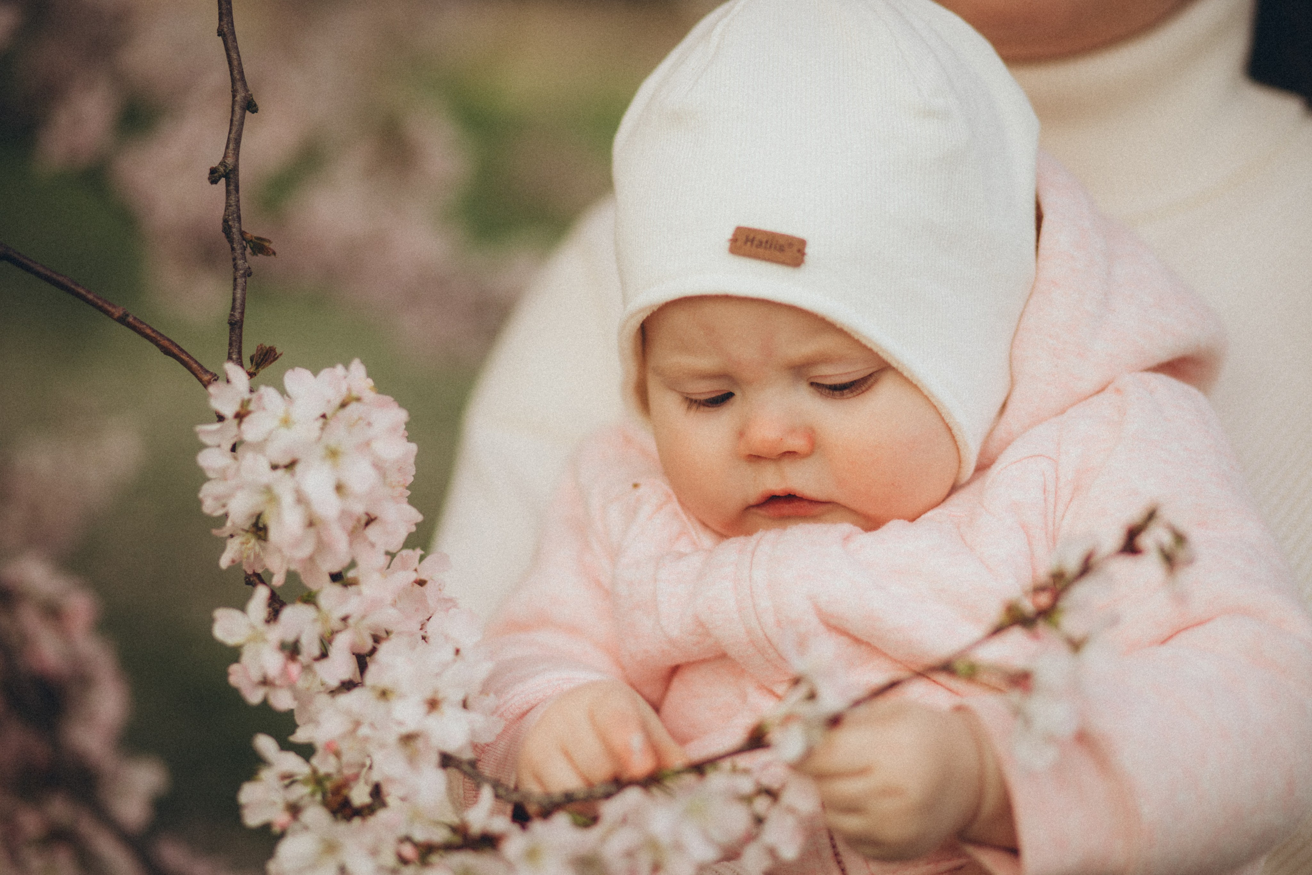 Family. Portrait and family photographer in Fort Collins Dania Gaisina