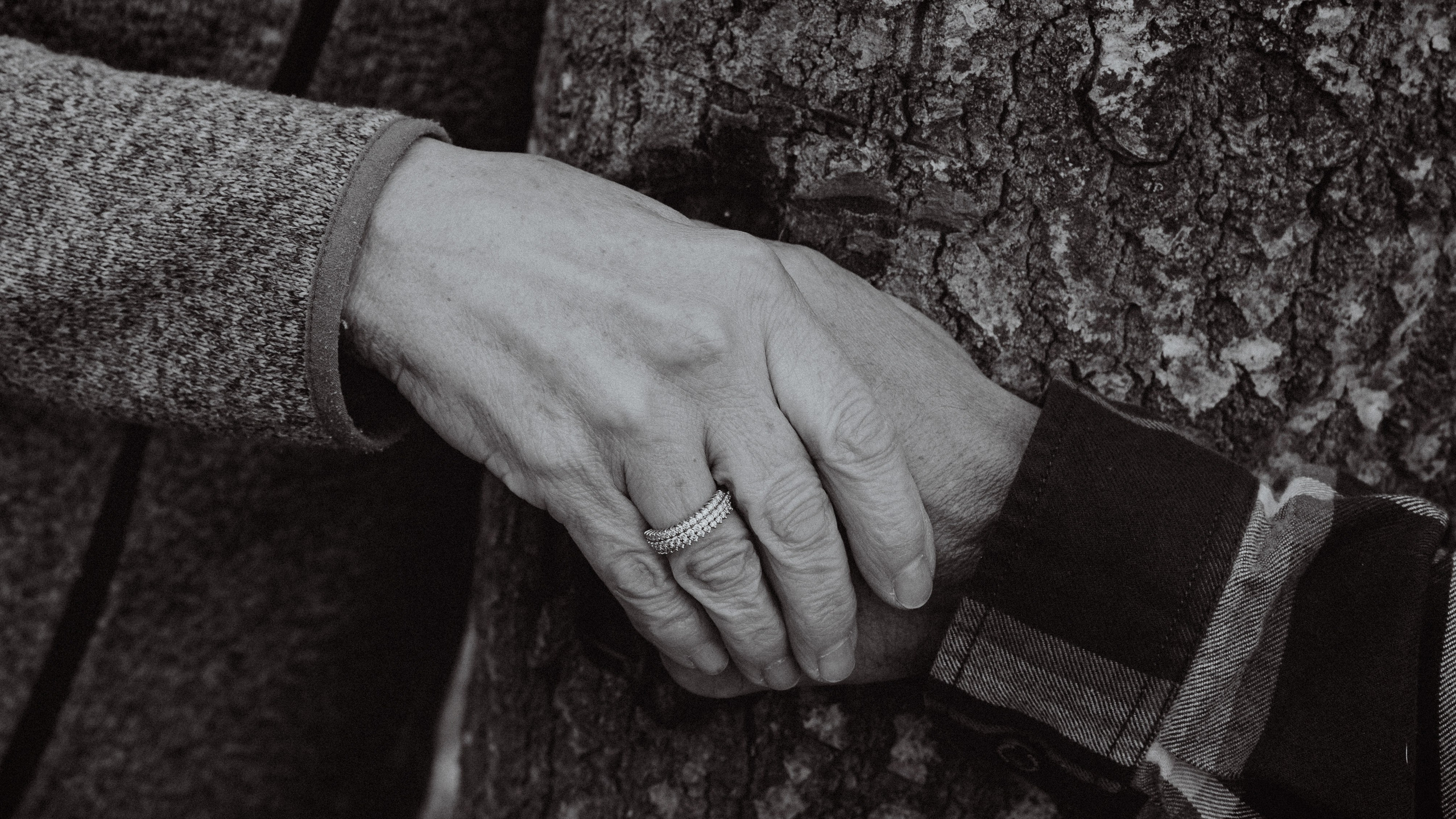 Green Bay Family Photographer — Ilia Bordiugov Photography